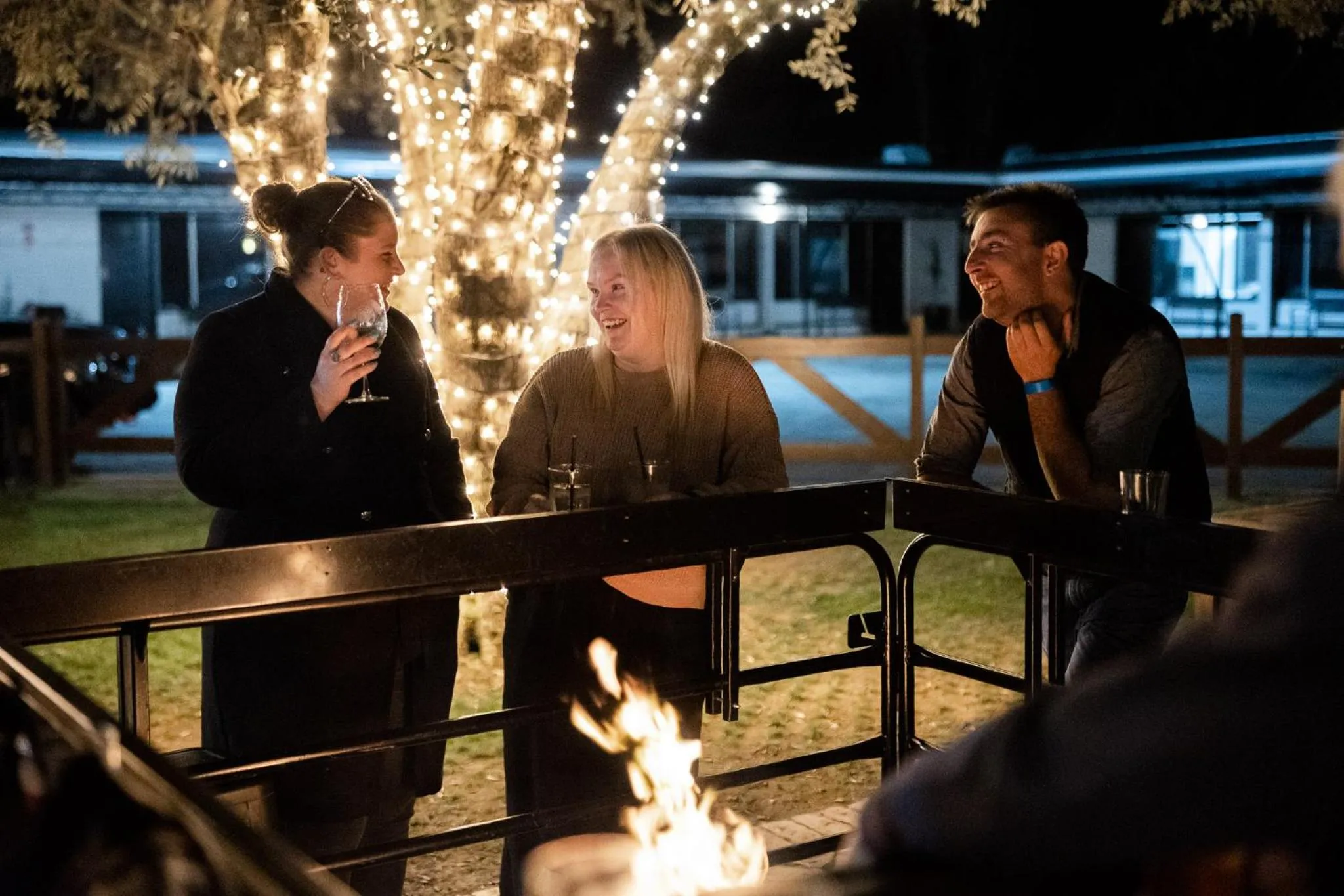 Palm and Pawn Motor Inn