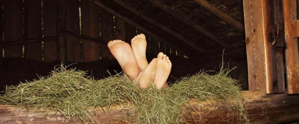 Landgasthof Kirchmayer