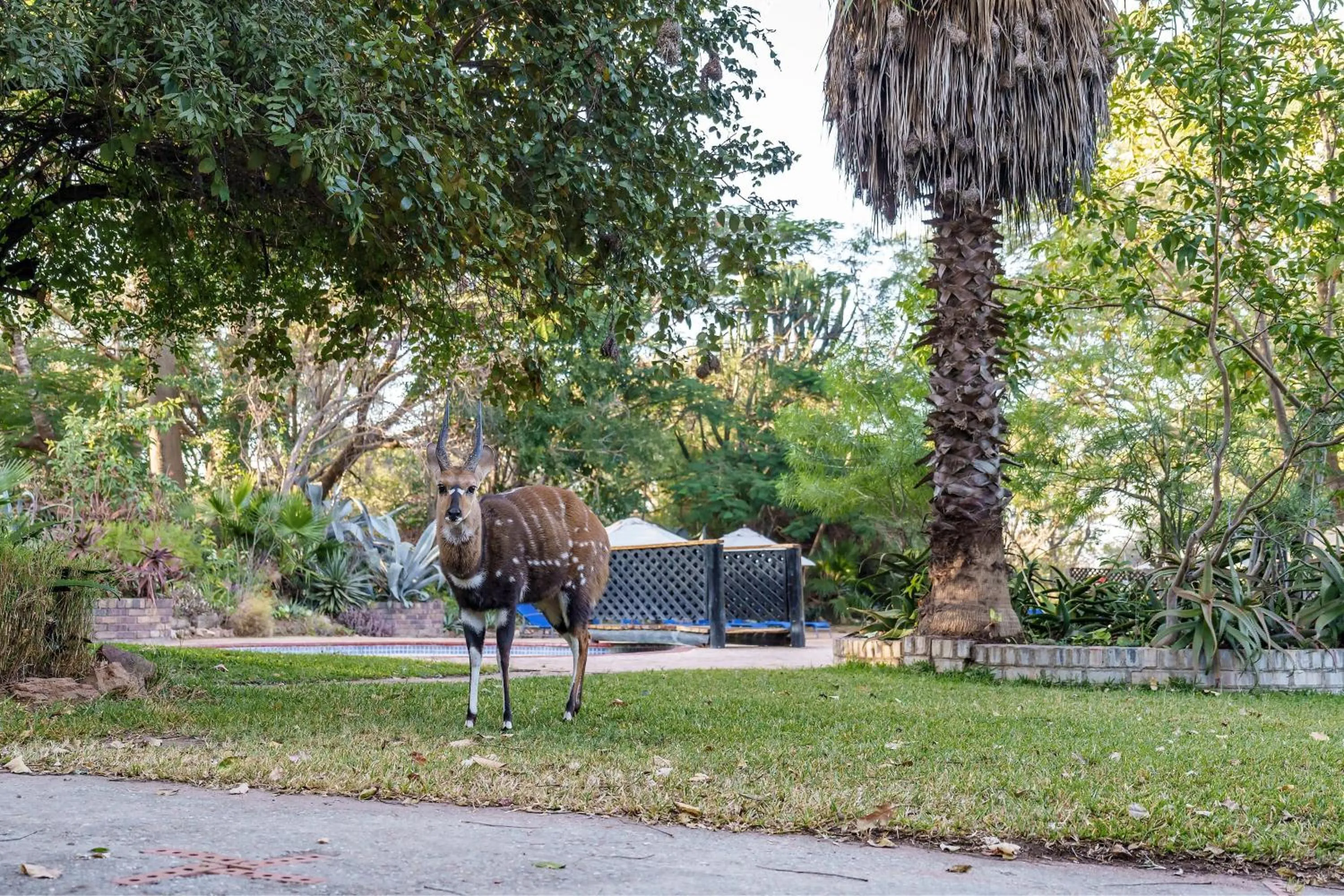 Fitness centre/facilities in Protea Hotel by Marriott Lusaka Safari Lodge
