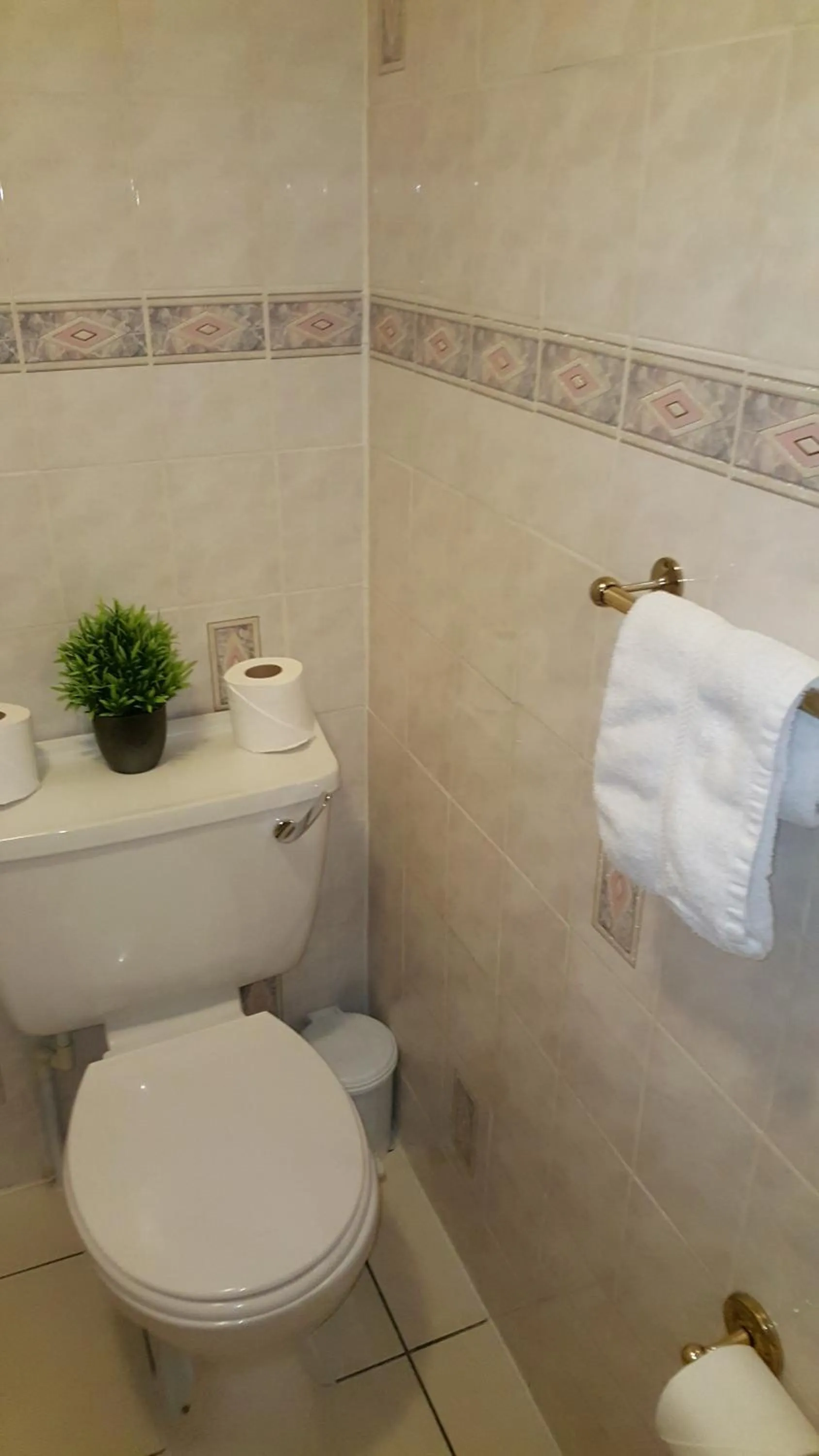 Toilet in Atlas Guest House