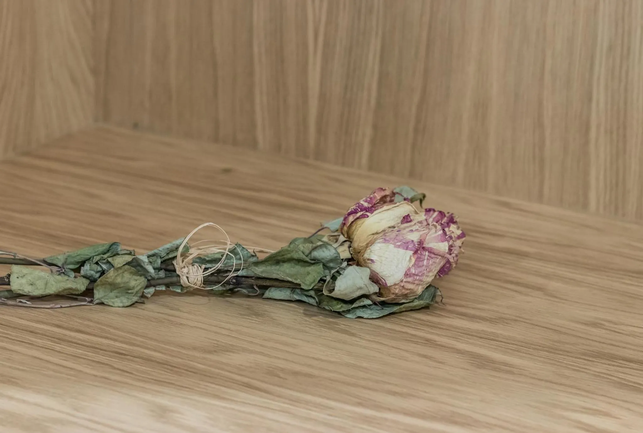 Decorative detail in Dois Lagares House