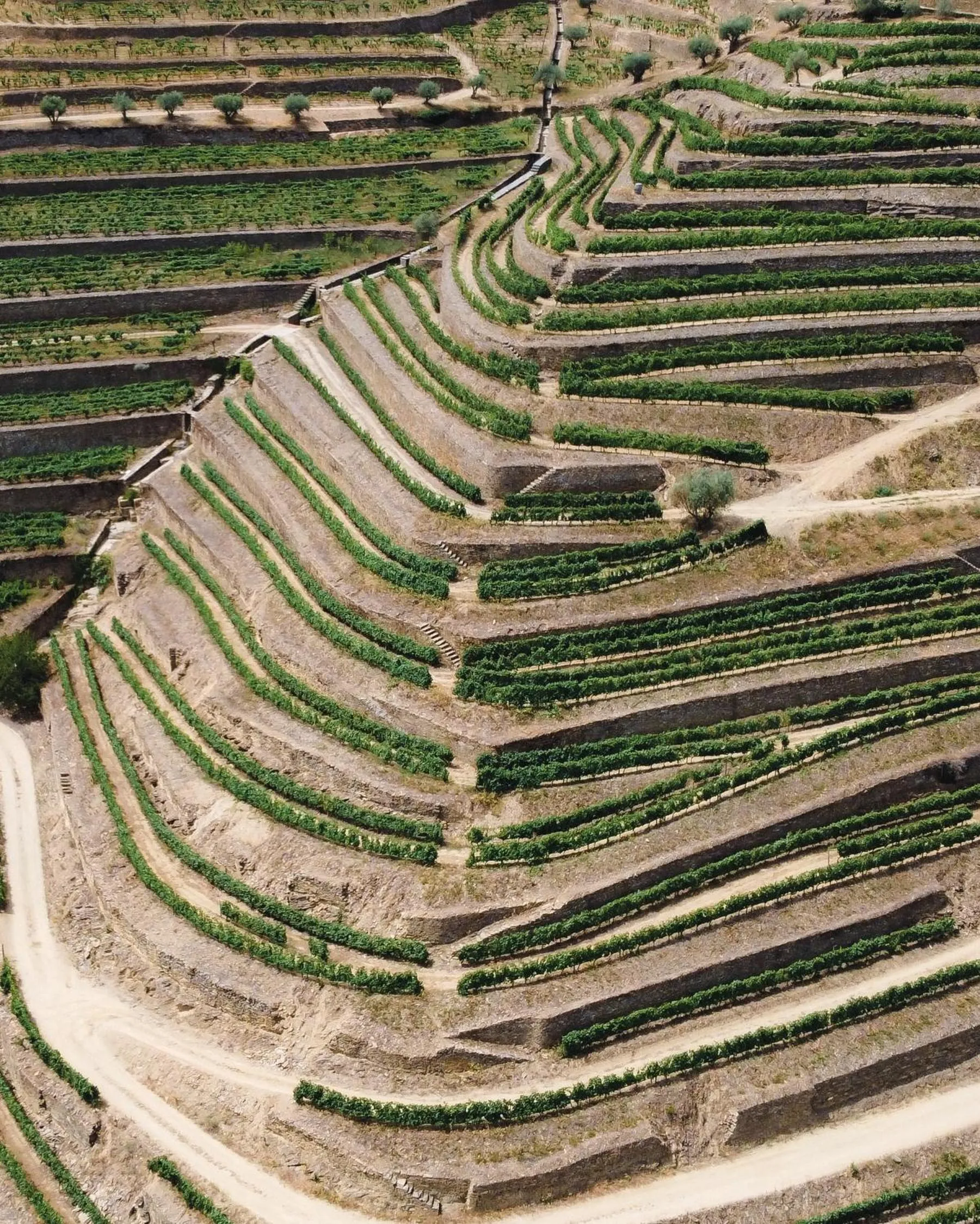 Natural landscape in Dois Lagares House