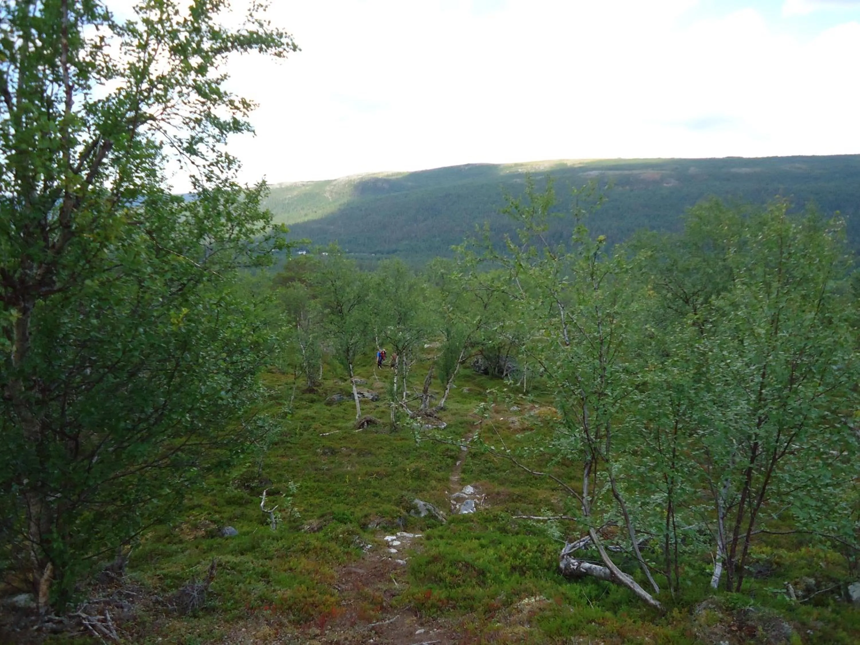 Off site in Gargia Lodge