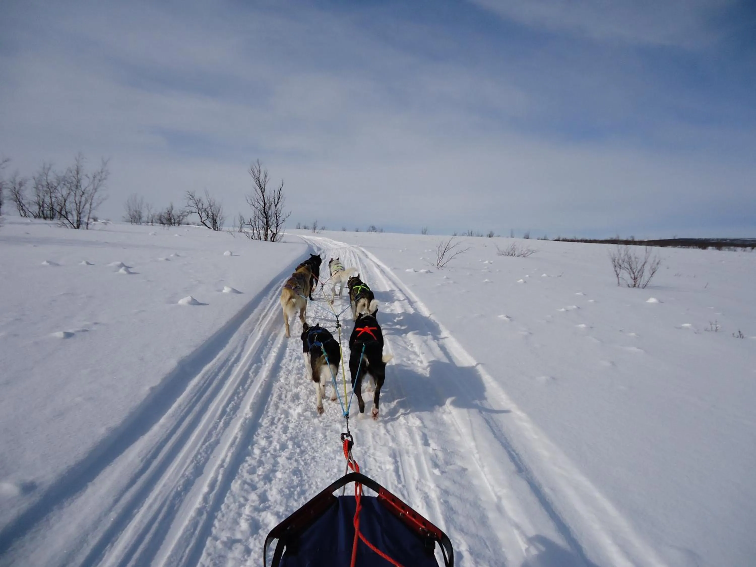 Activities in Gargia Lodge