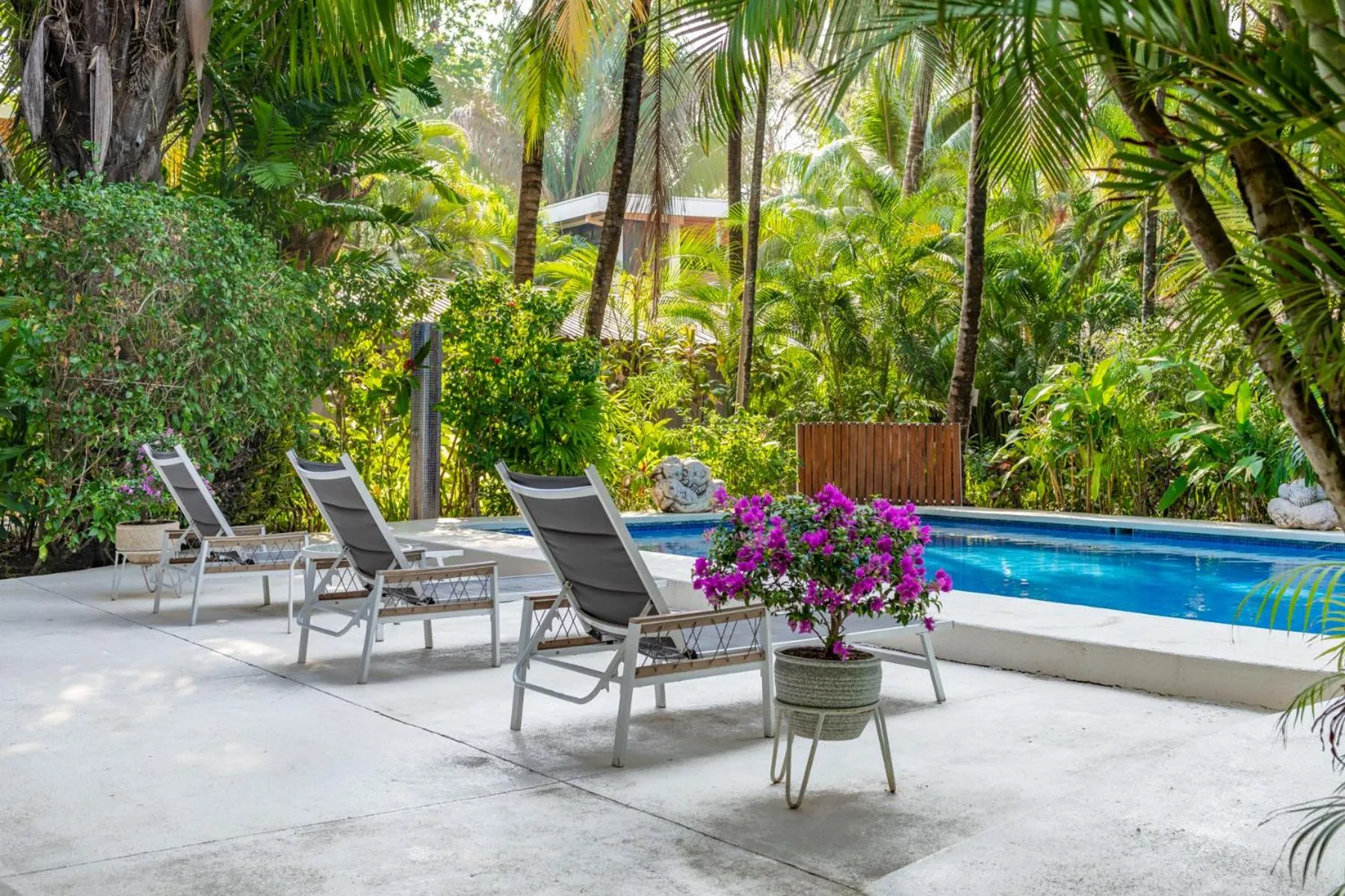 Swimming pool in Living Hotel