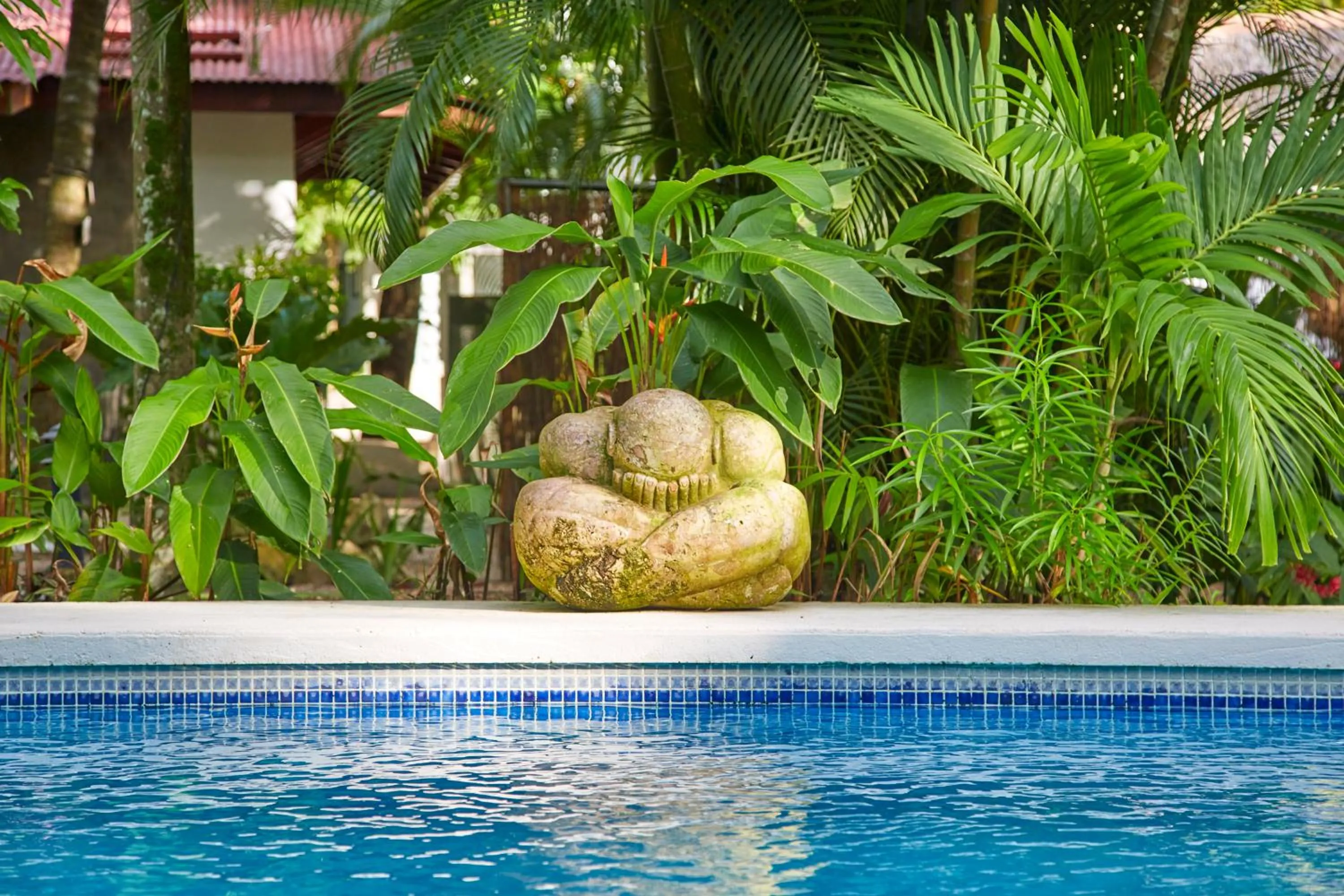 Pool view in Living Hotel