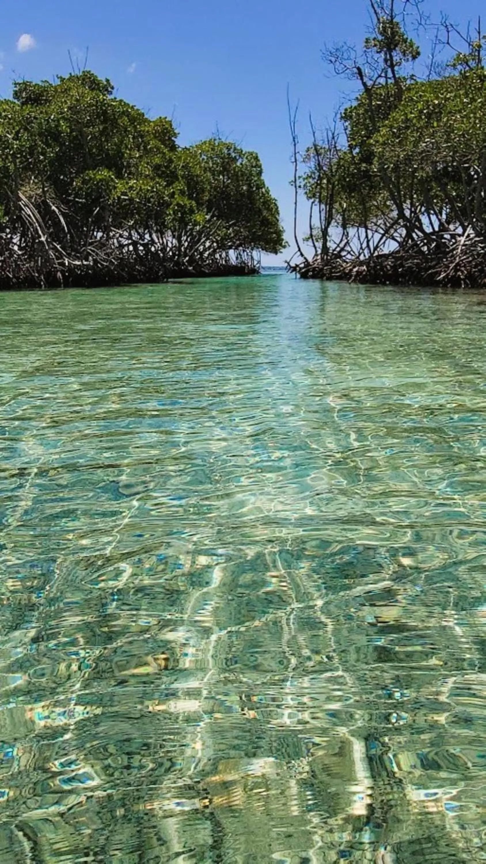Beach in La Jamaca - An Island Vibe Hotel