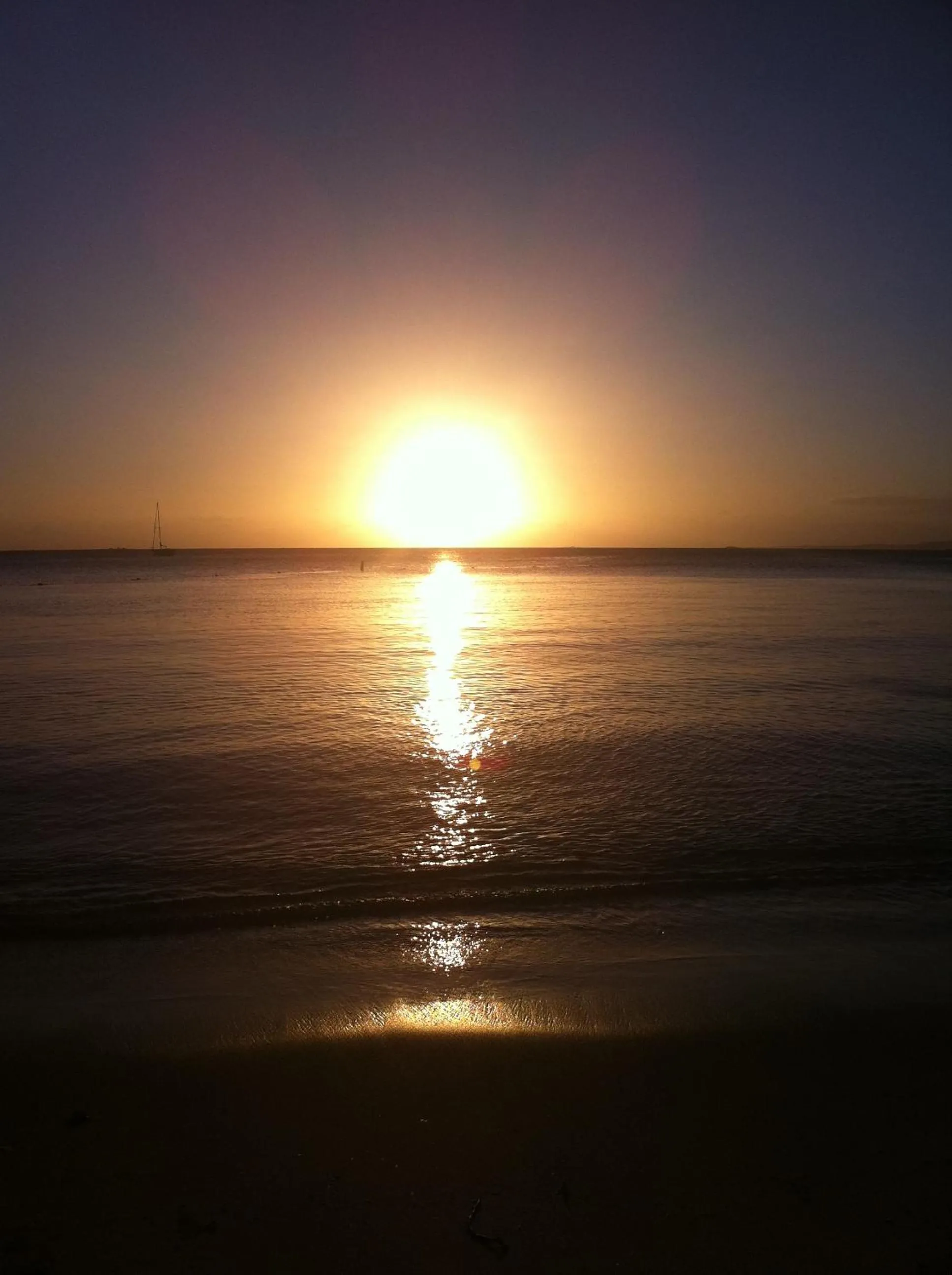 Natural landscape in La Jamaca - An Island Vibe Hotel