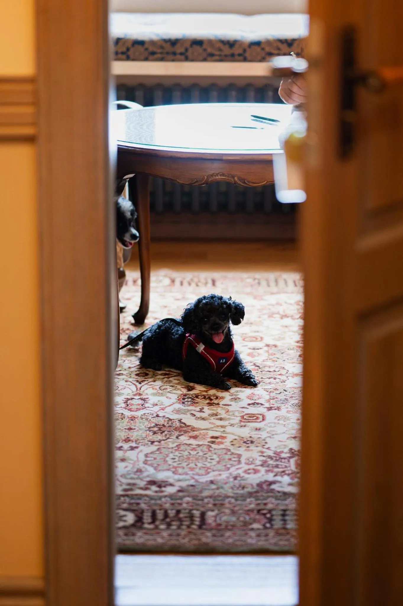 Boutique Hotel Virkas muiža