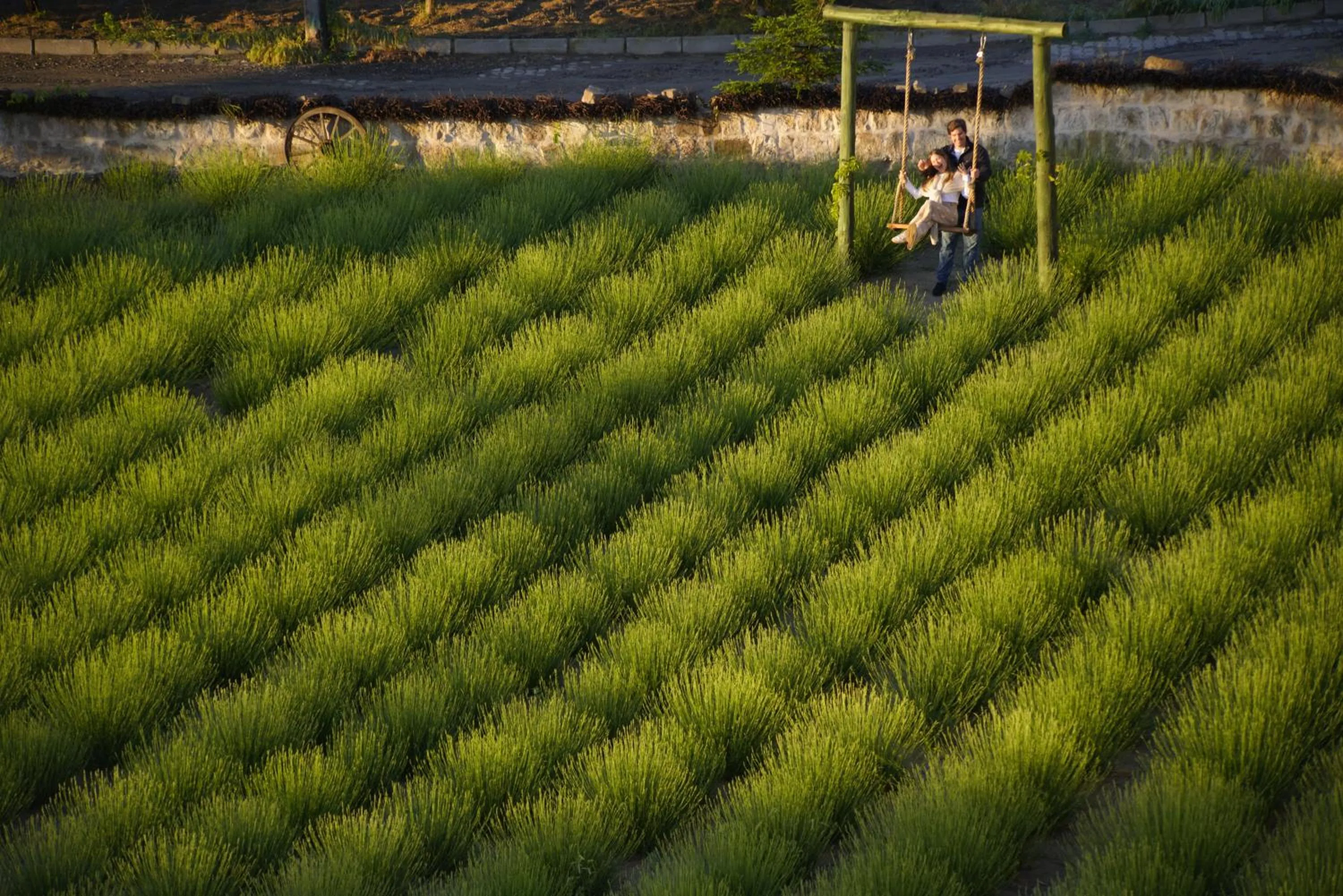 Garden view in Design Cave Hotel