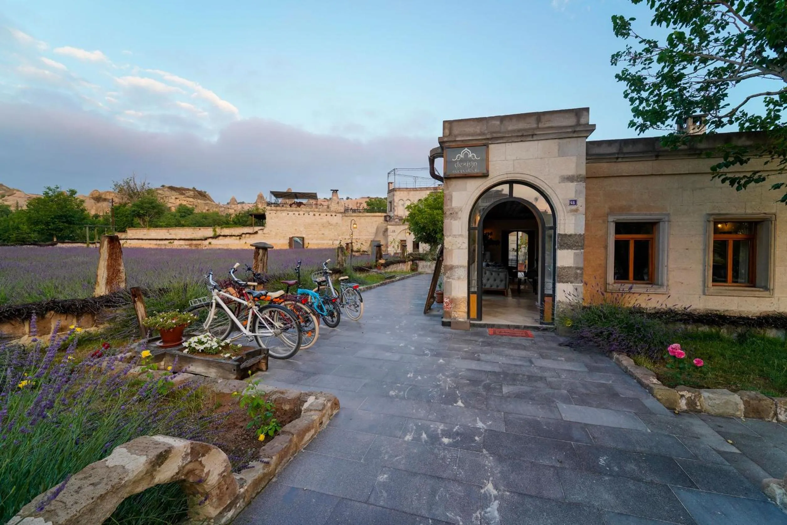 Garden in Design Cave Hotel