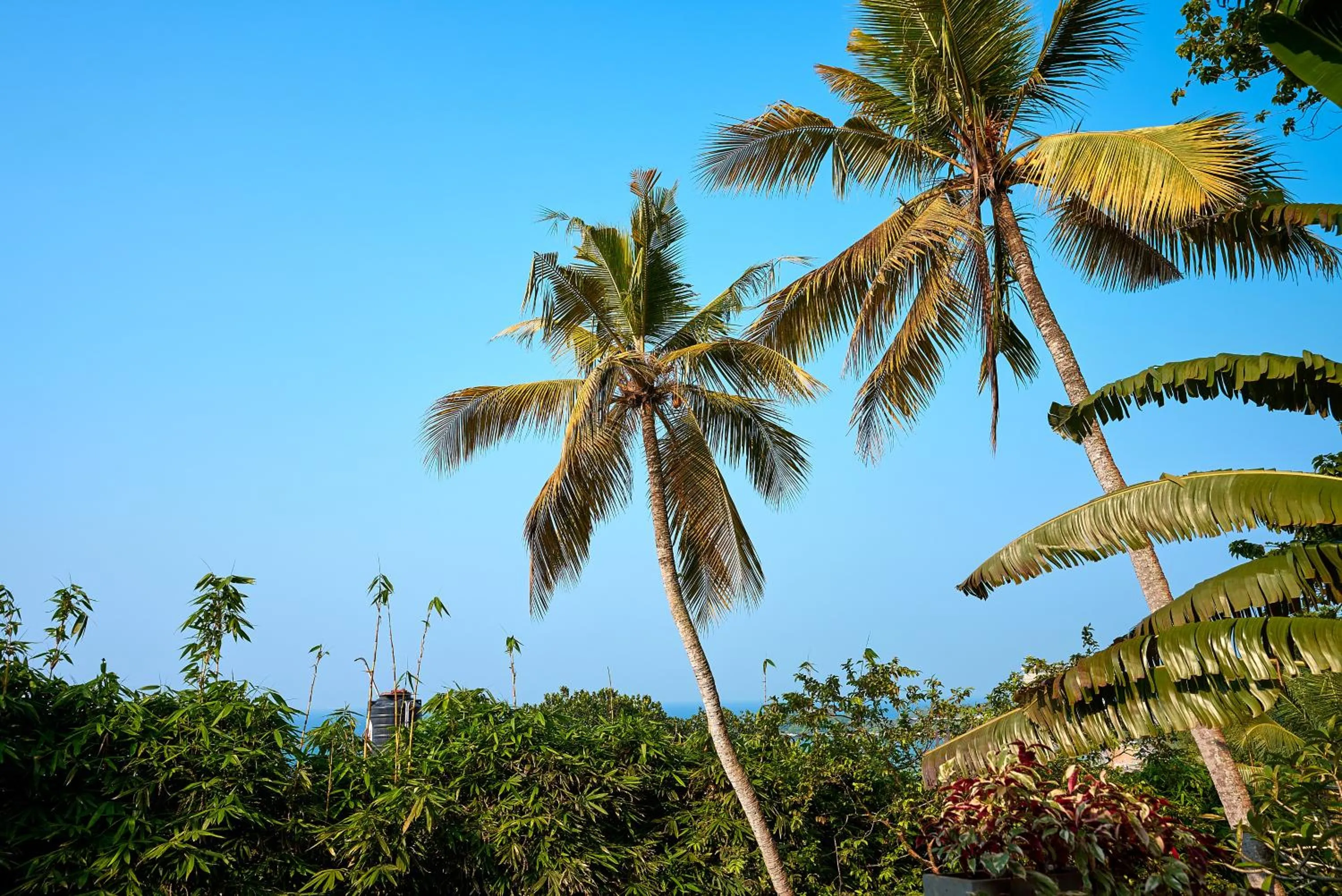 View (from property/room) in Villa SPACE