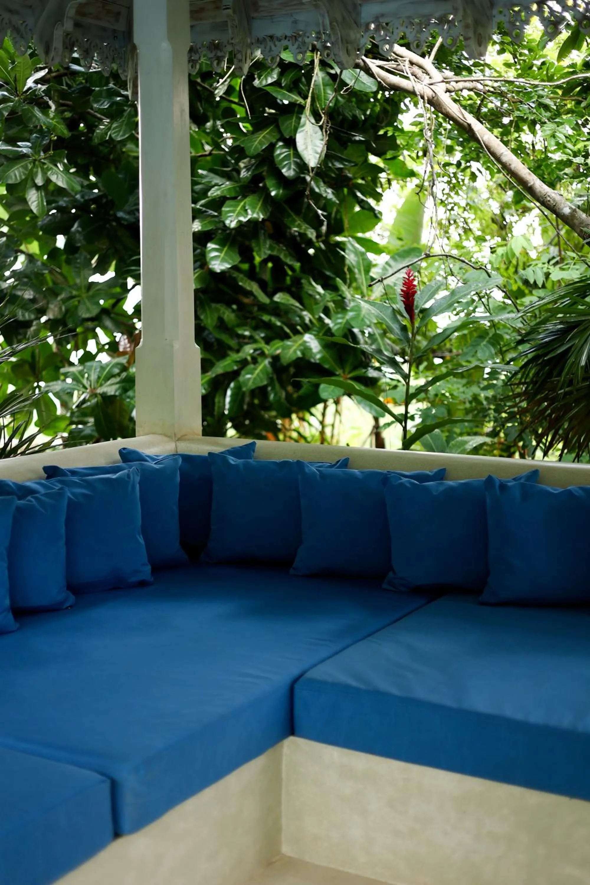 Swimming pool in Villa SPACE