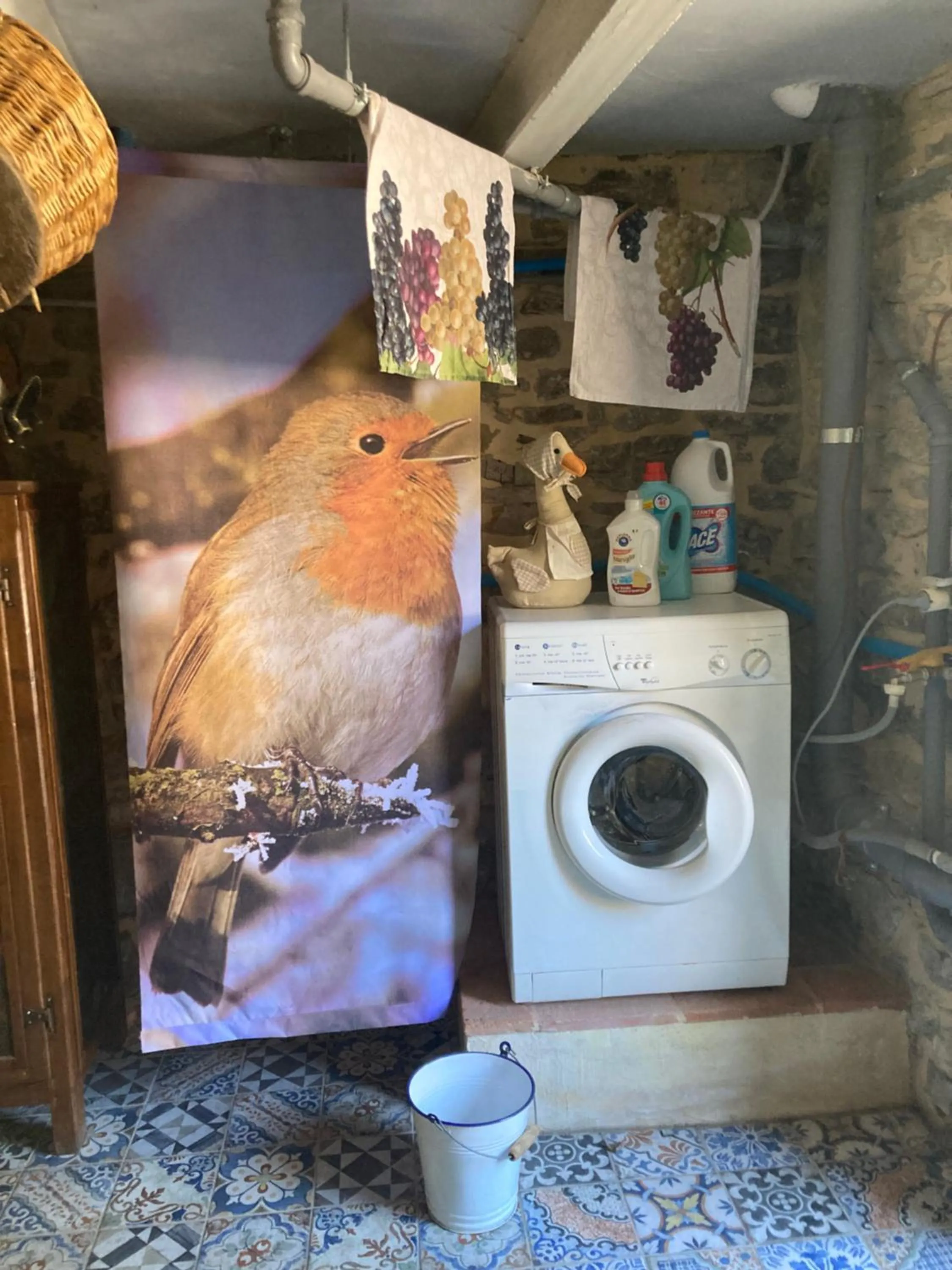 La pecora e l agnello