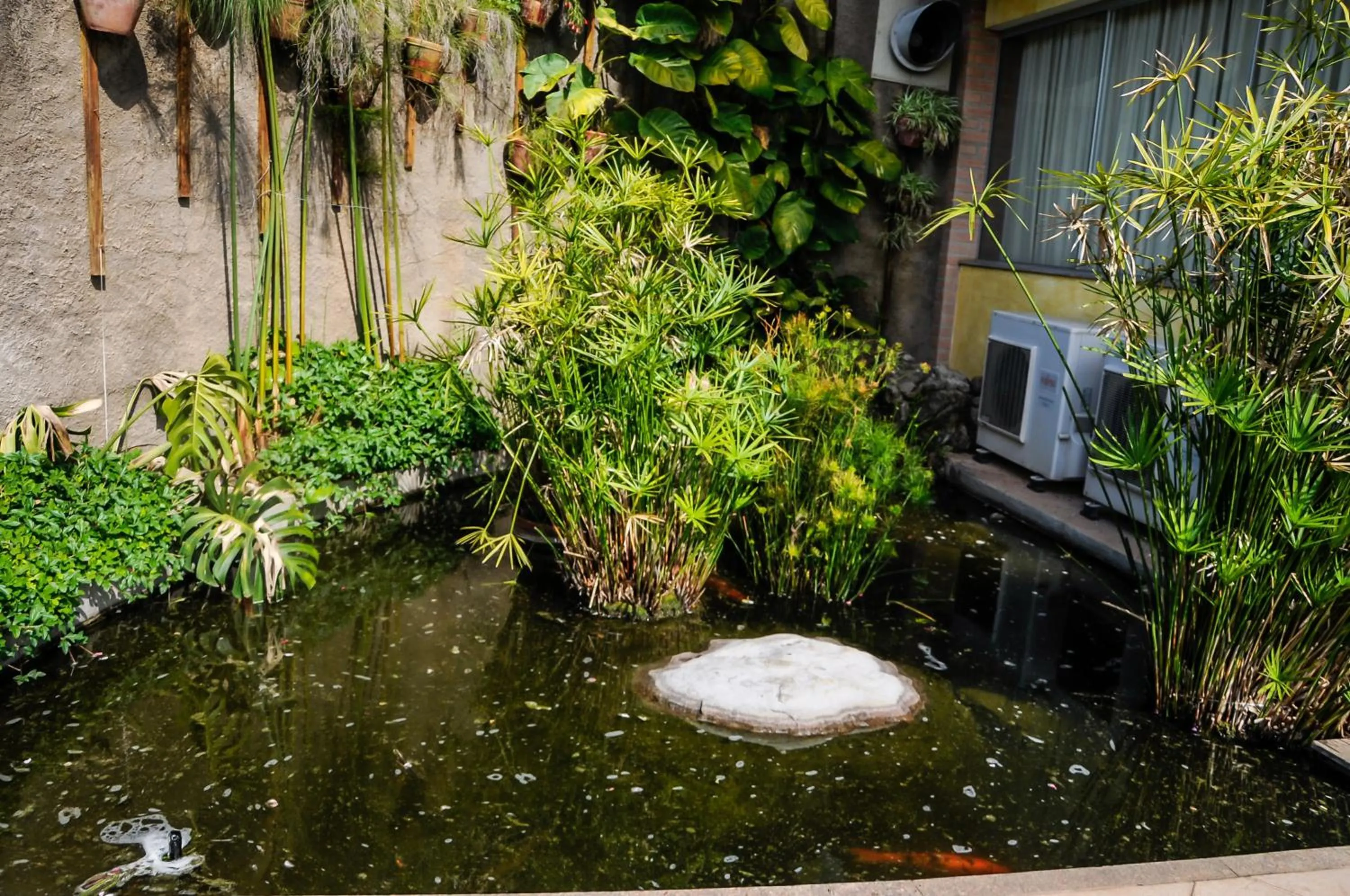 Pets in Refugio do Saci Hotel