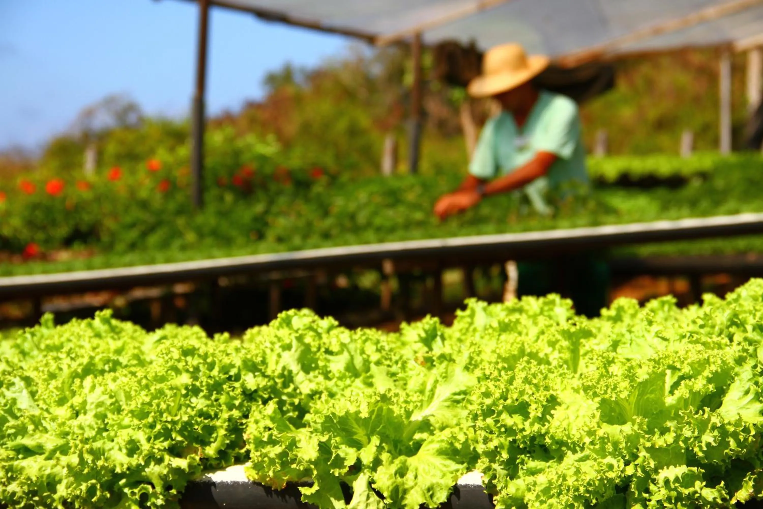 Other in Pousada Zé Maria