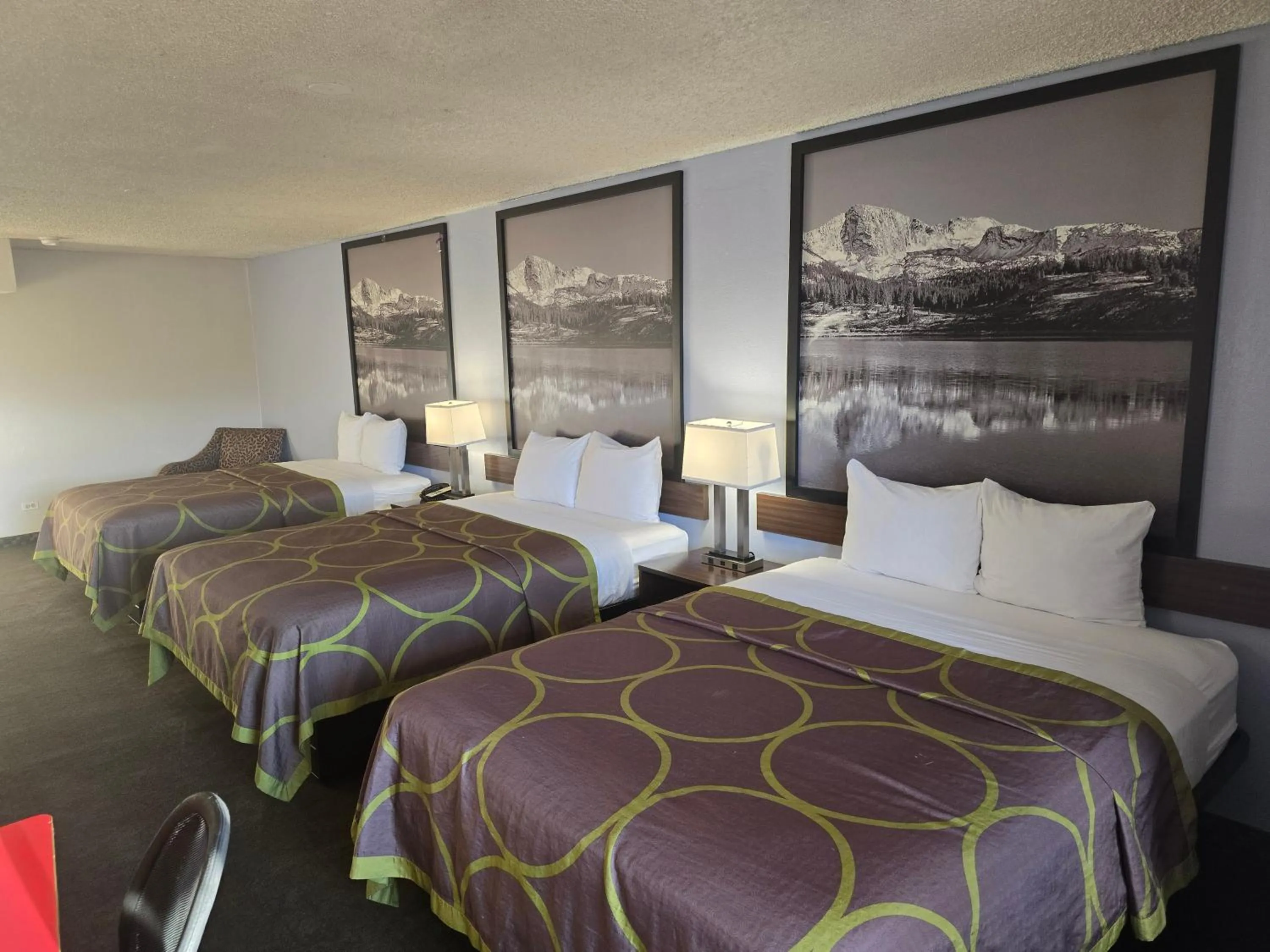 Bed in Super 8 by Wyndham Wheat Ridge/Denver West