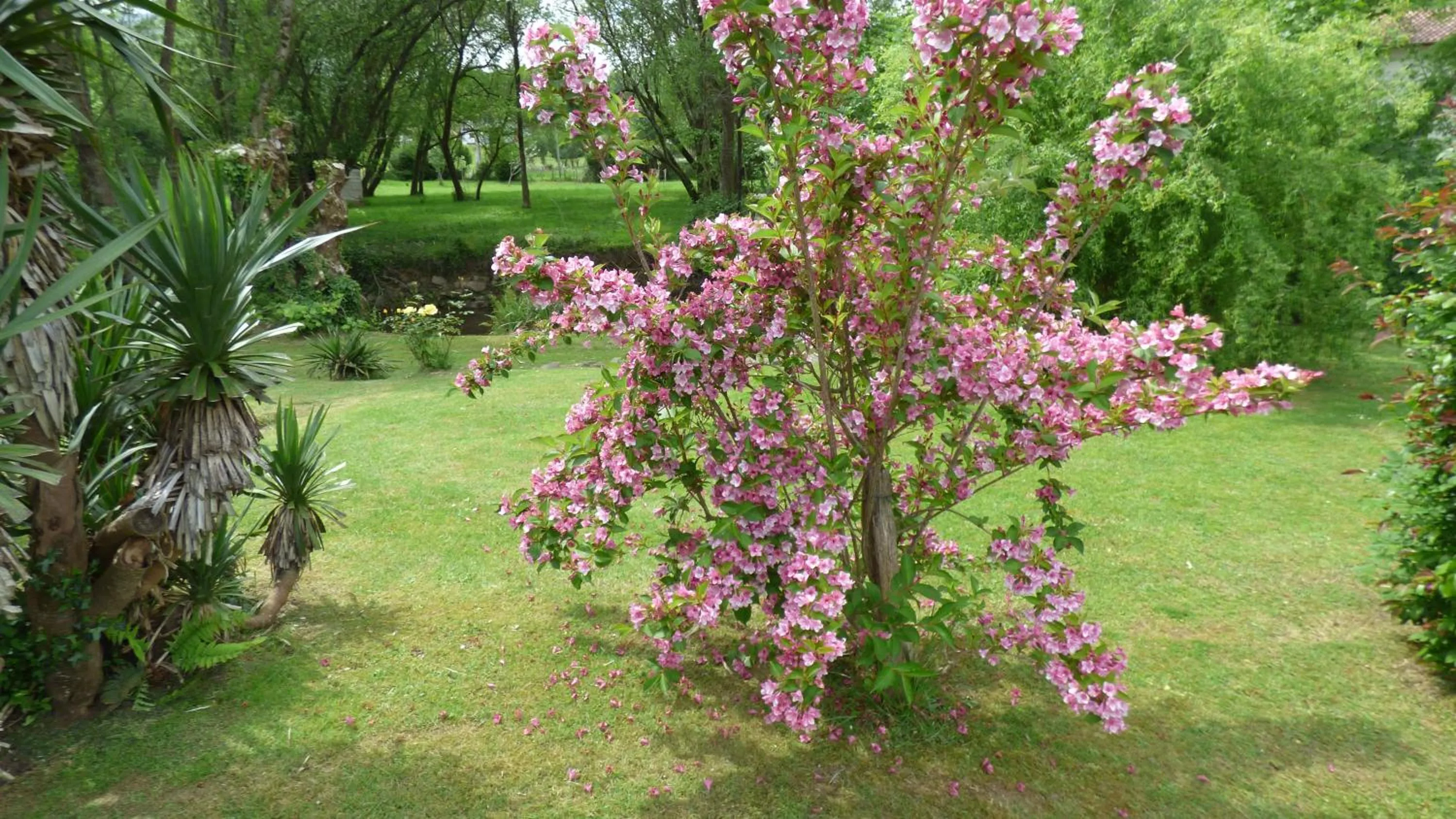 Garden in Maison d'hôtes de charme ttakoinenborda