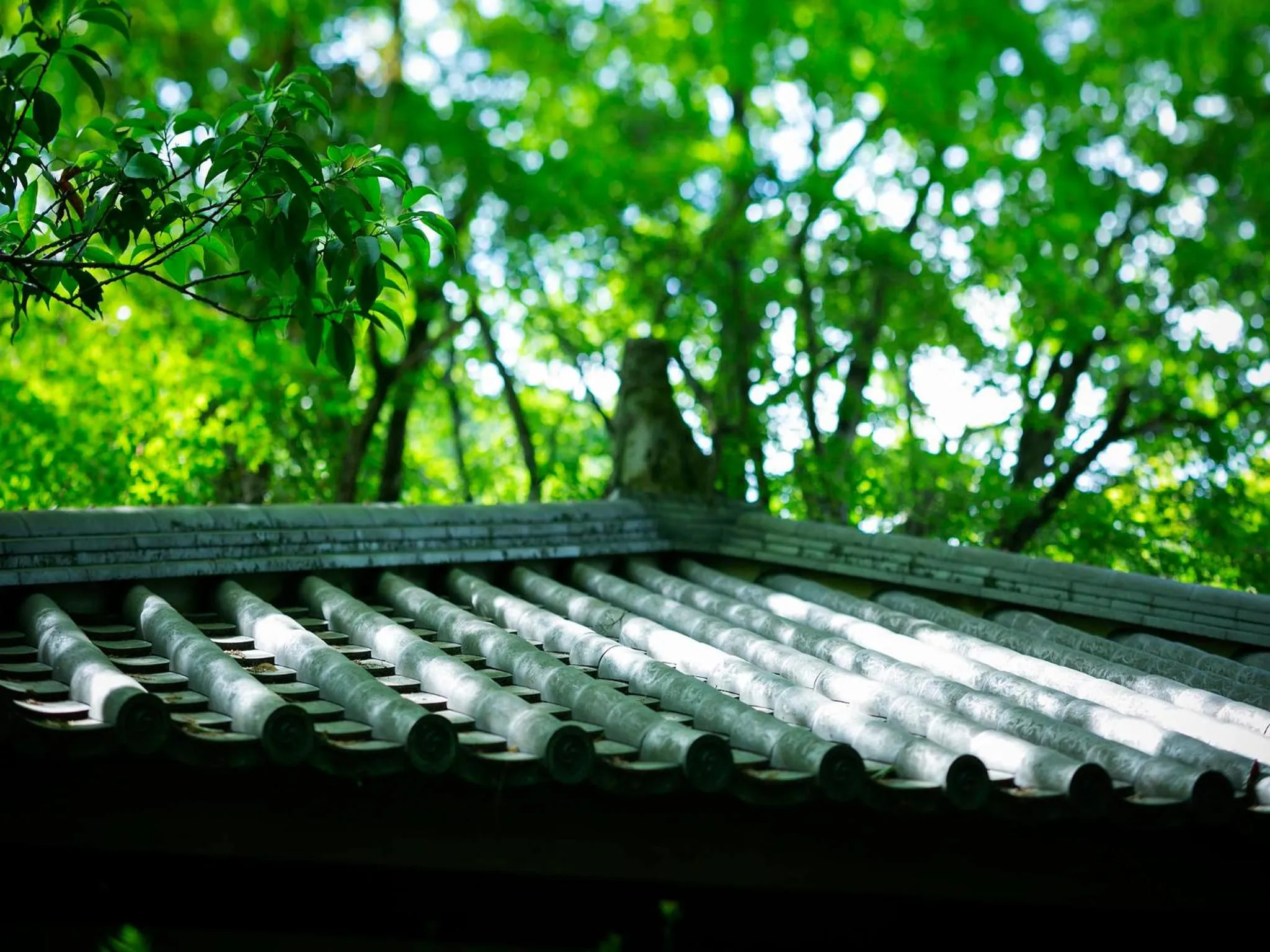 Area and facilities in Kurokawa-So