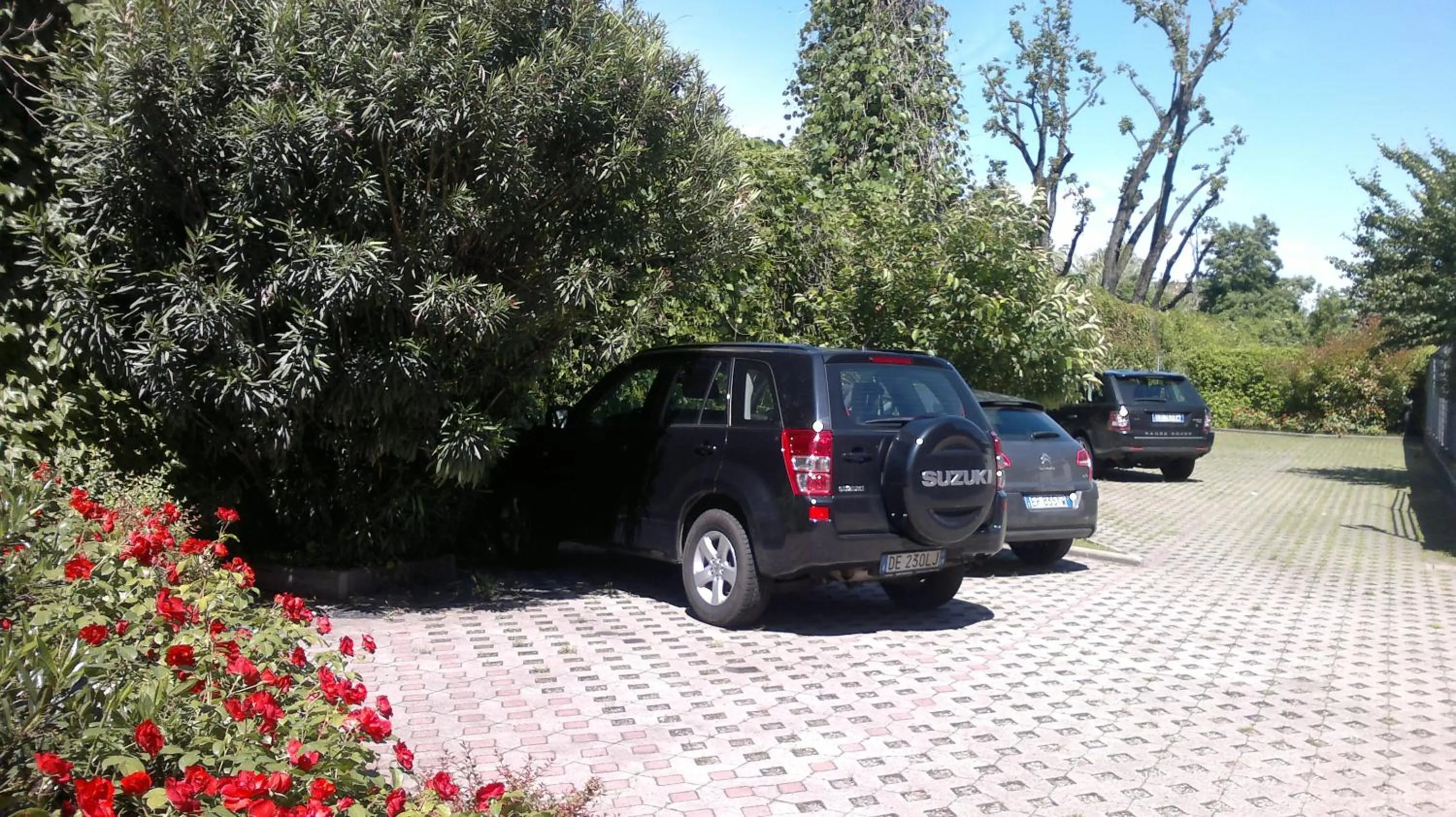 Other in Hotel Riviera