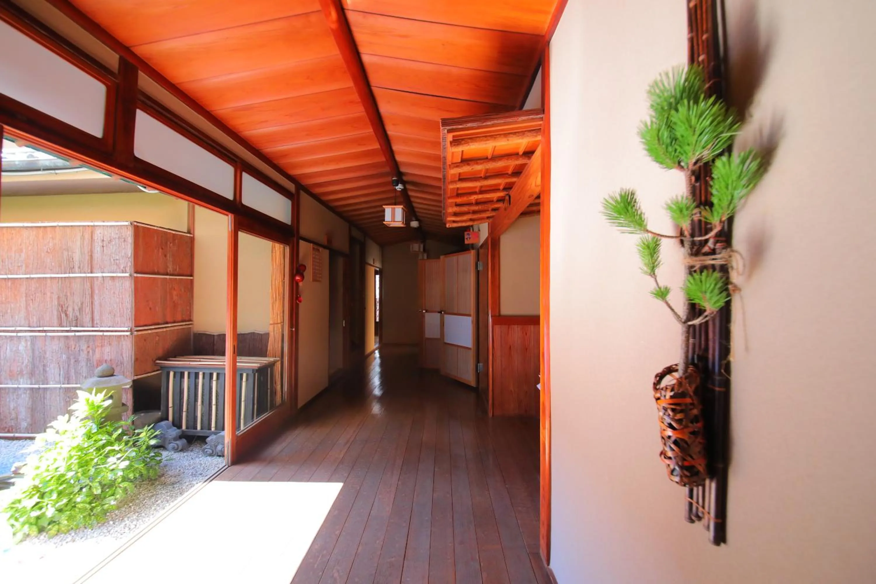 Area and facilities in Dougoya