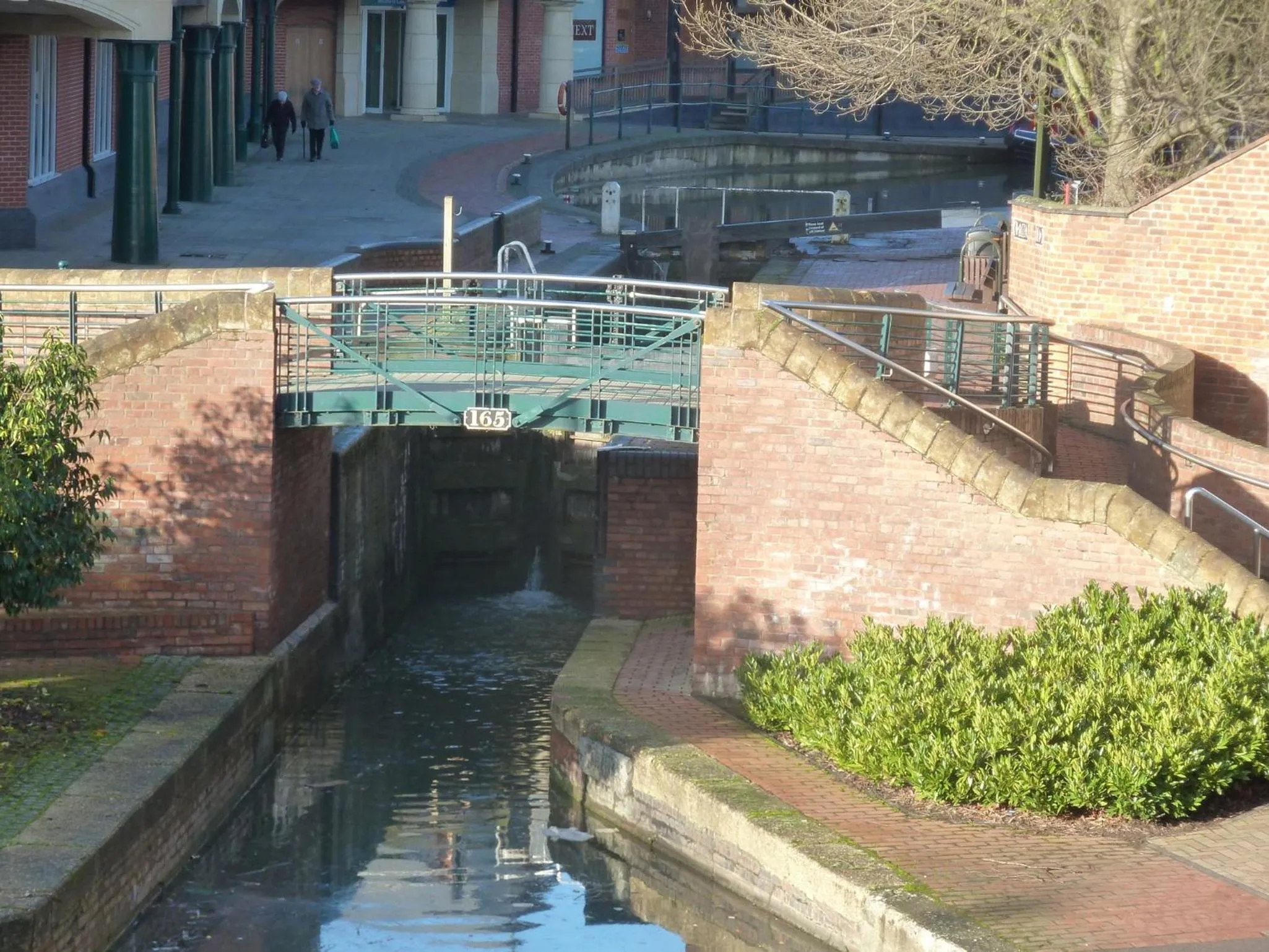 Natural landscape in Dashwood Apartments