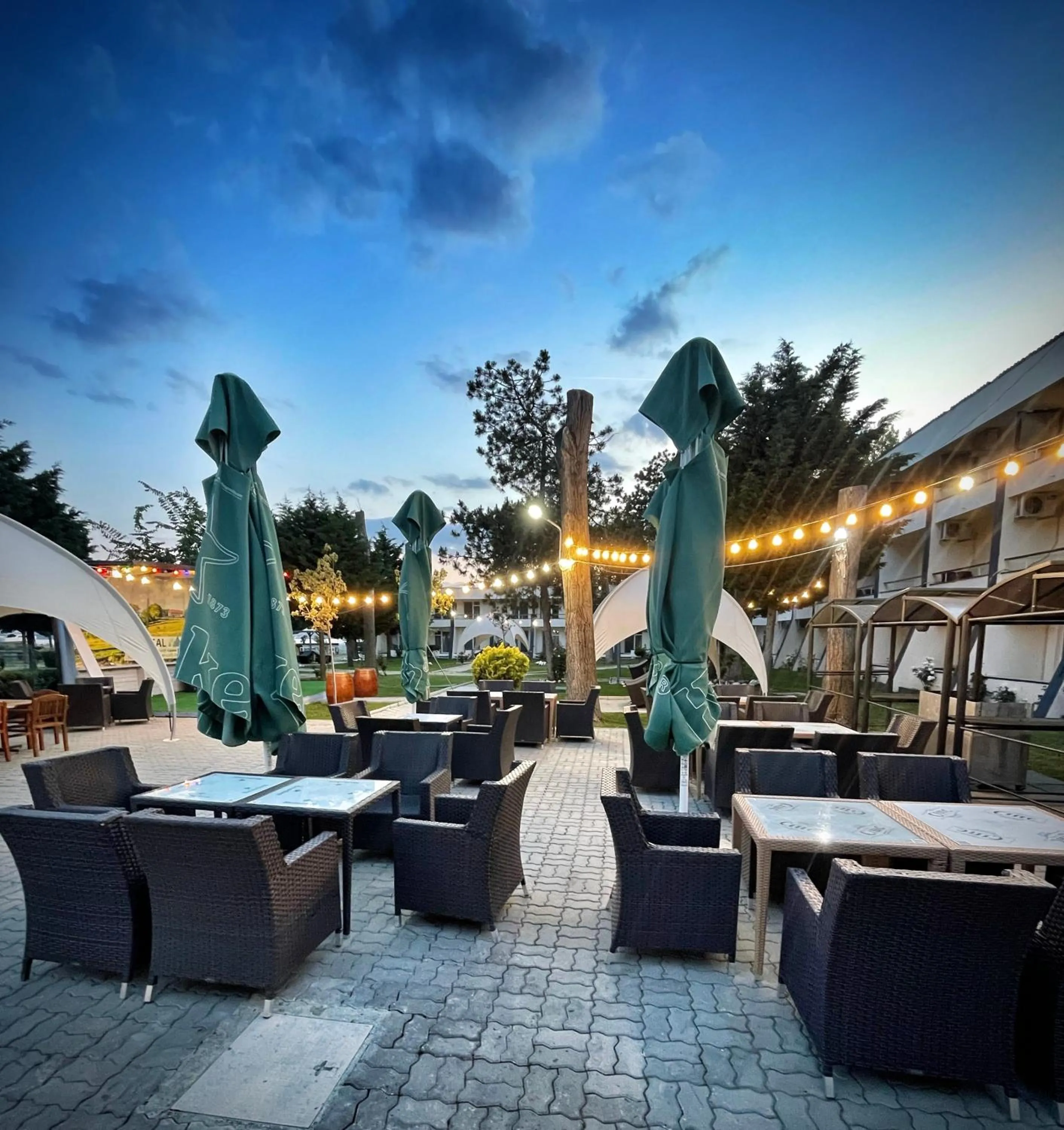 Garden in Voila Mamaia