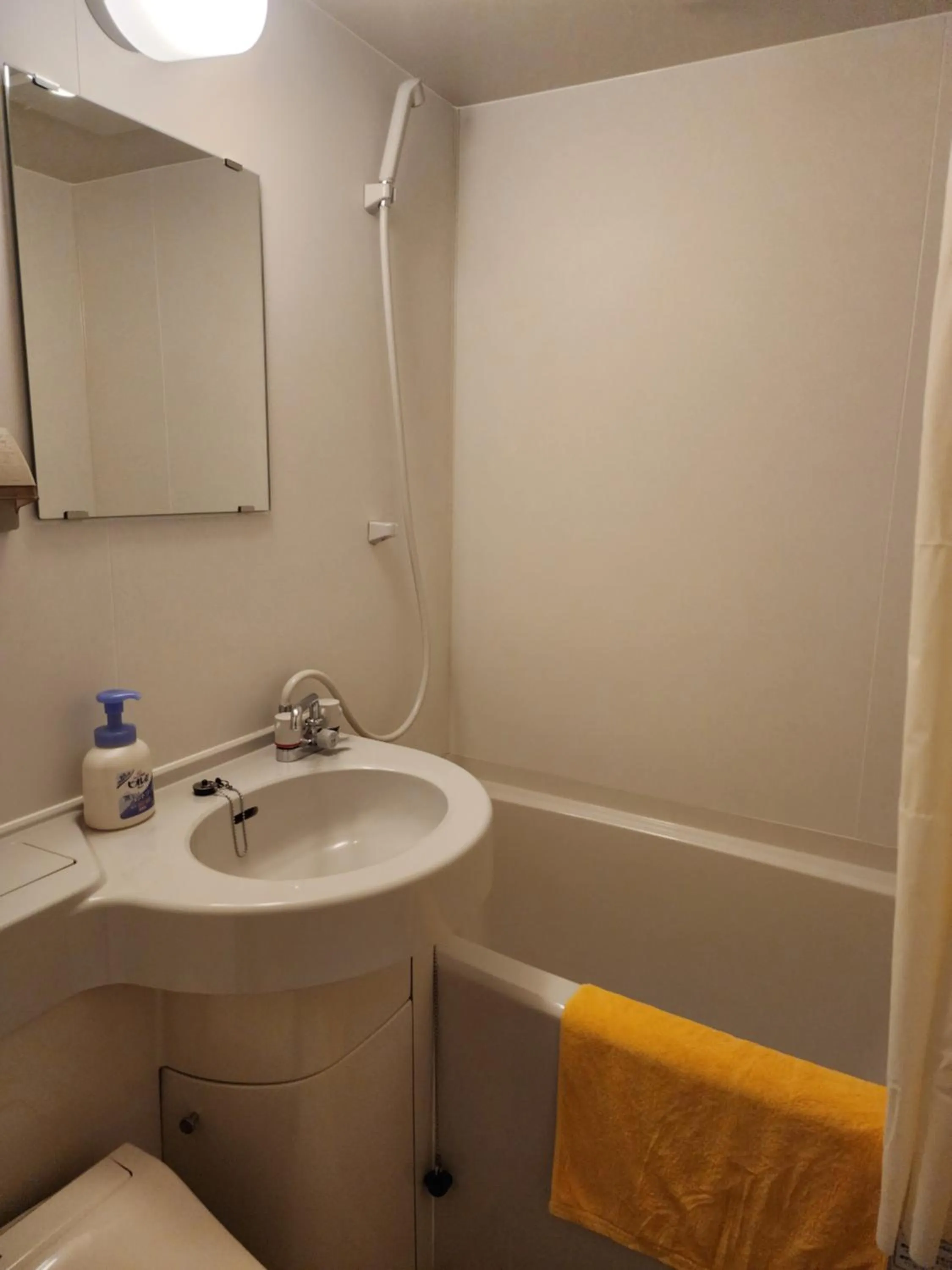 Bathroom in Hakuba Hotel Hana-no-Sato