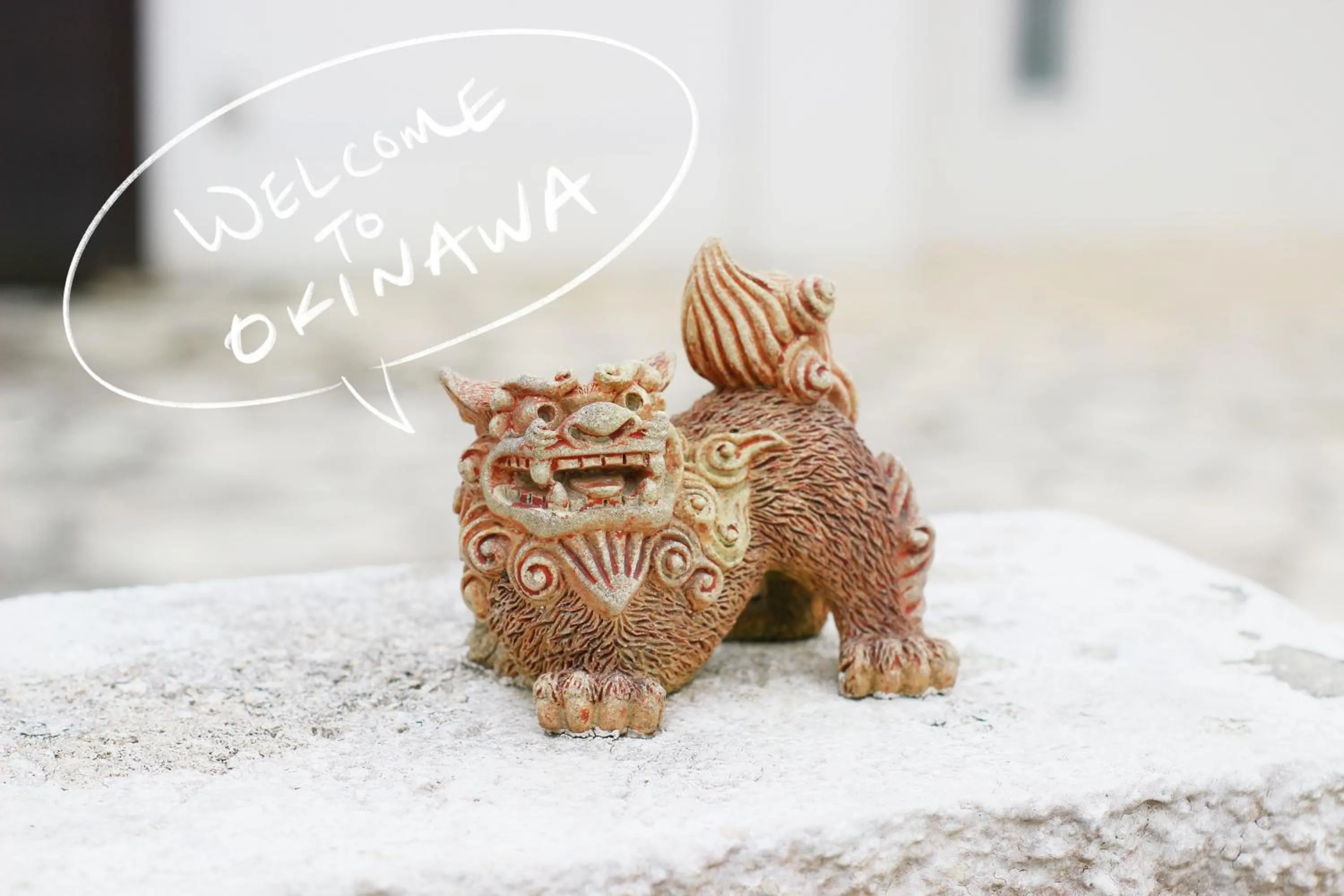 Other in HOPE VILLA ONNASON