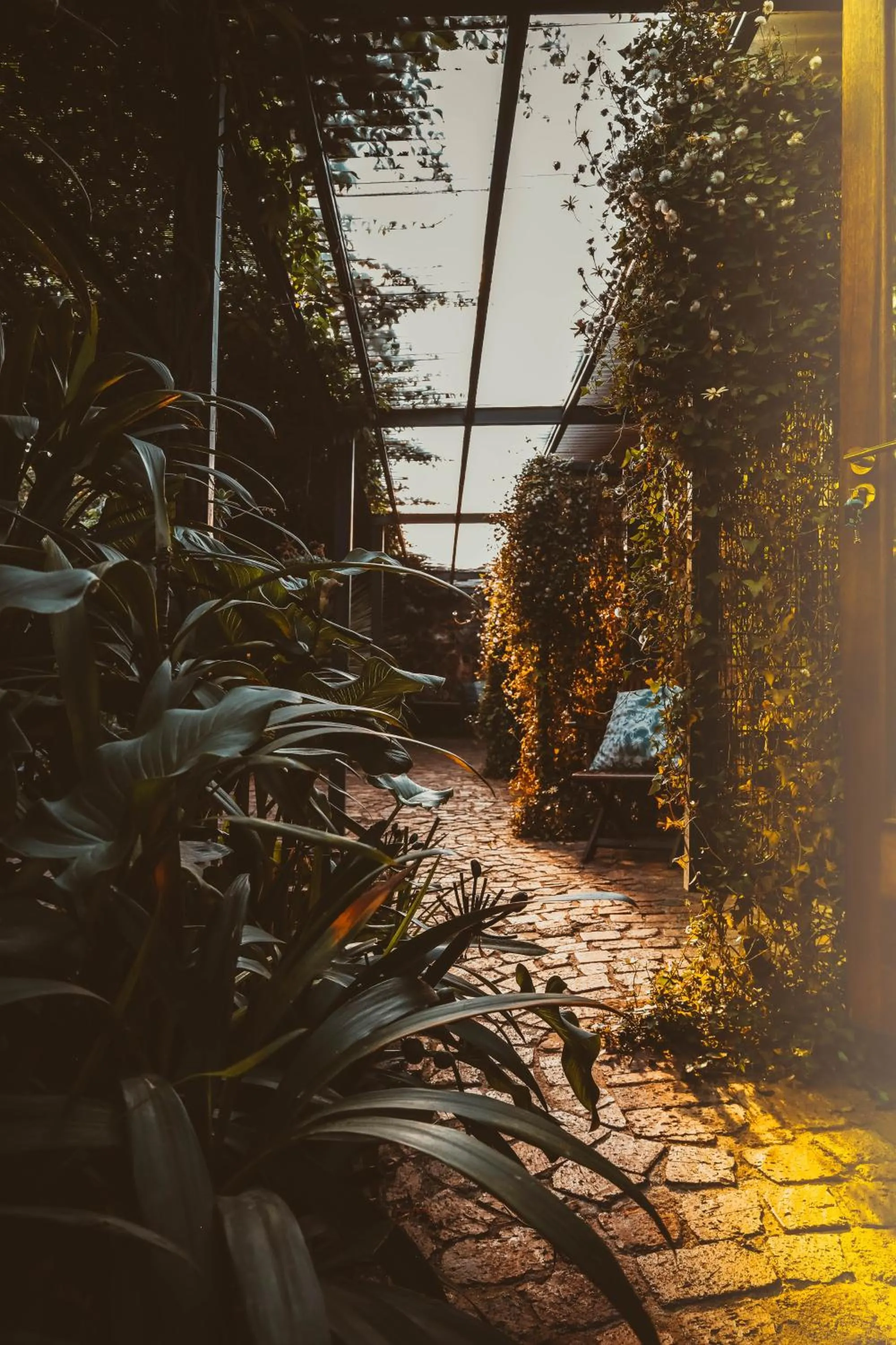 Garden in Bastion House