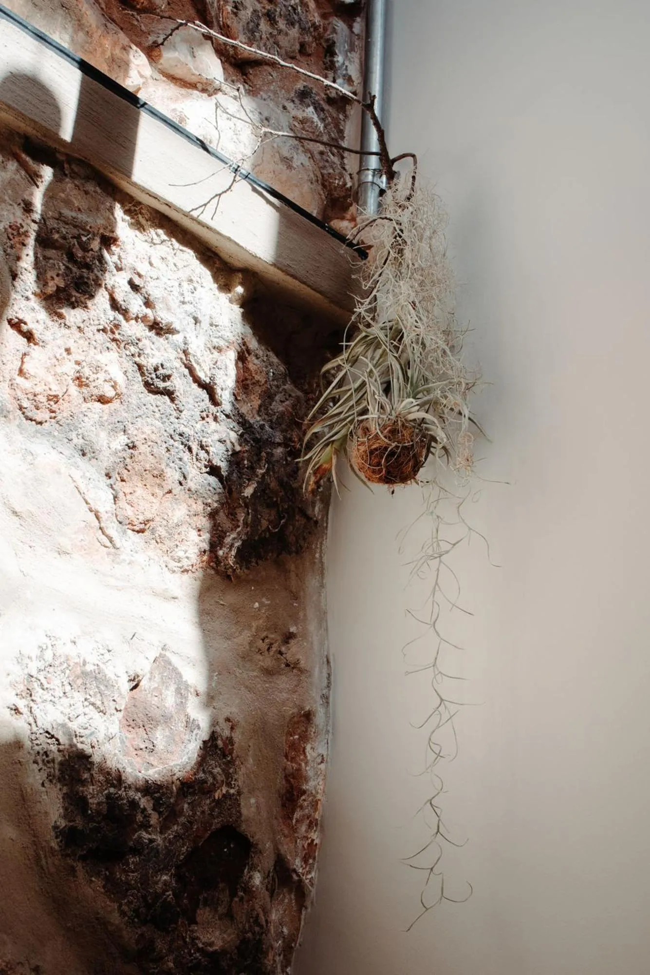 Natural landscape in Bastion House