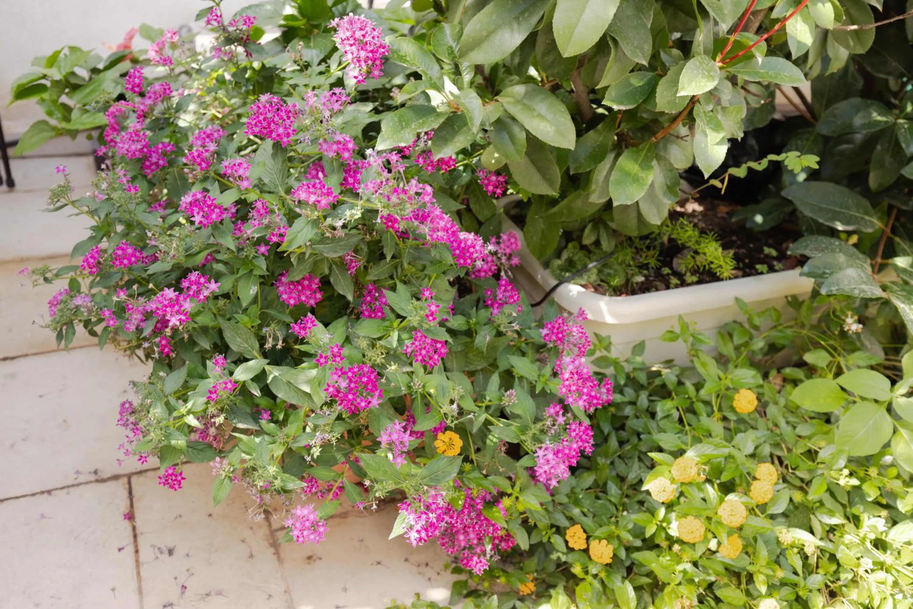 Balcony/Terrace in Janna 'e Mare