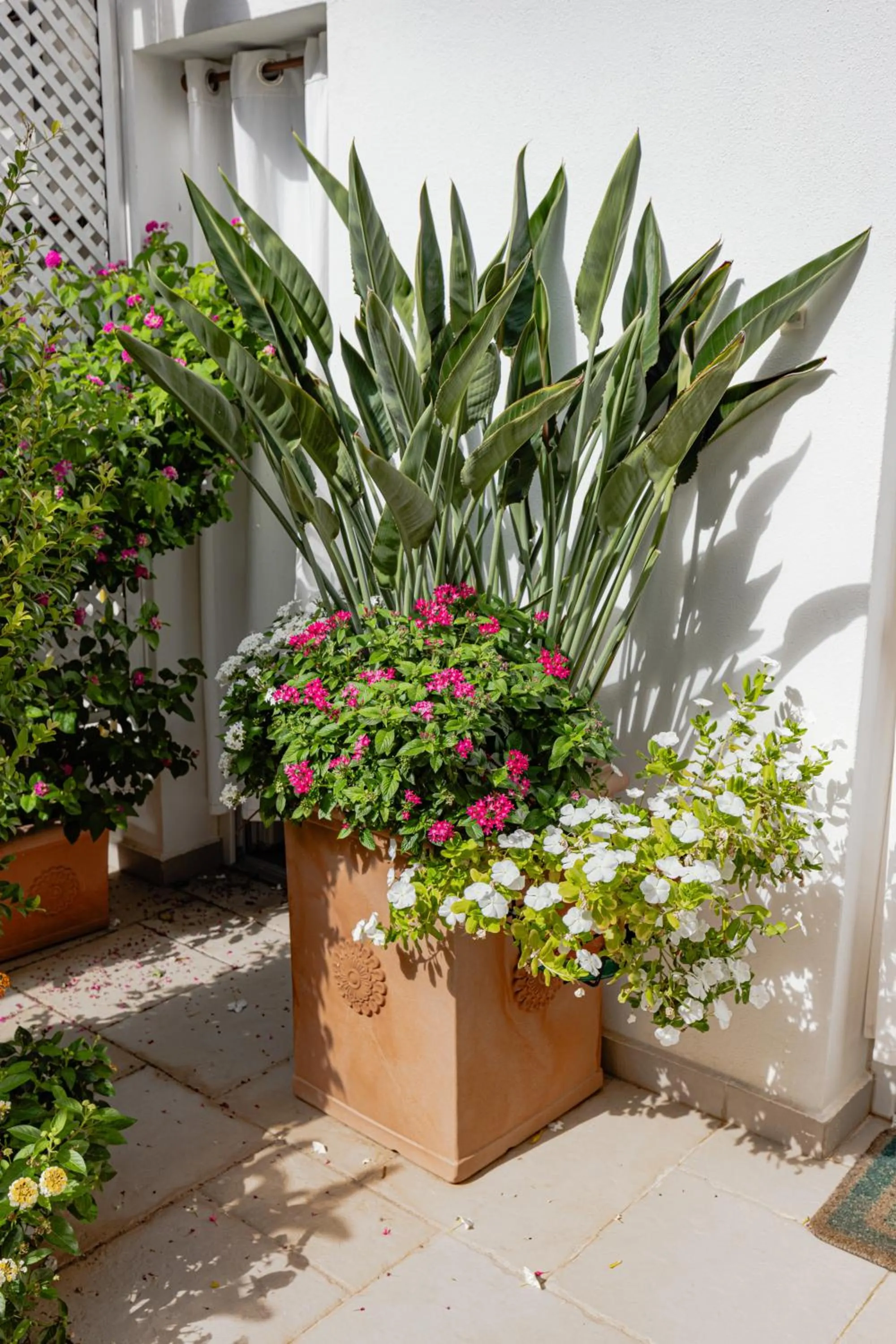 Balcony/Terrace in Janna 'e Mare