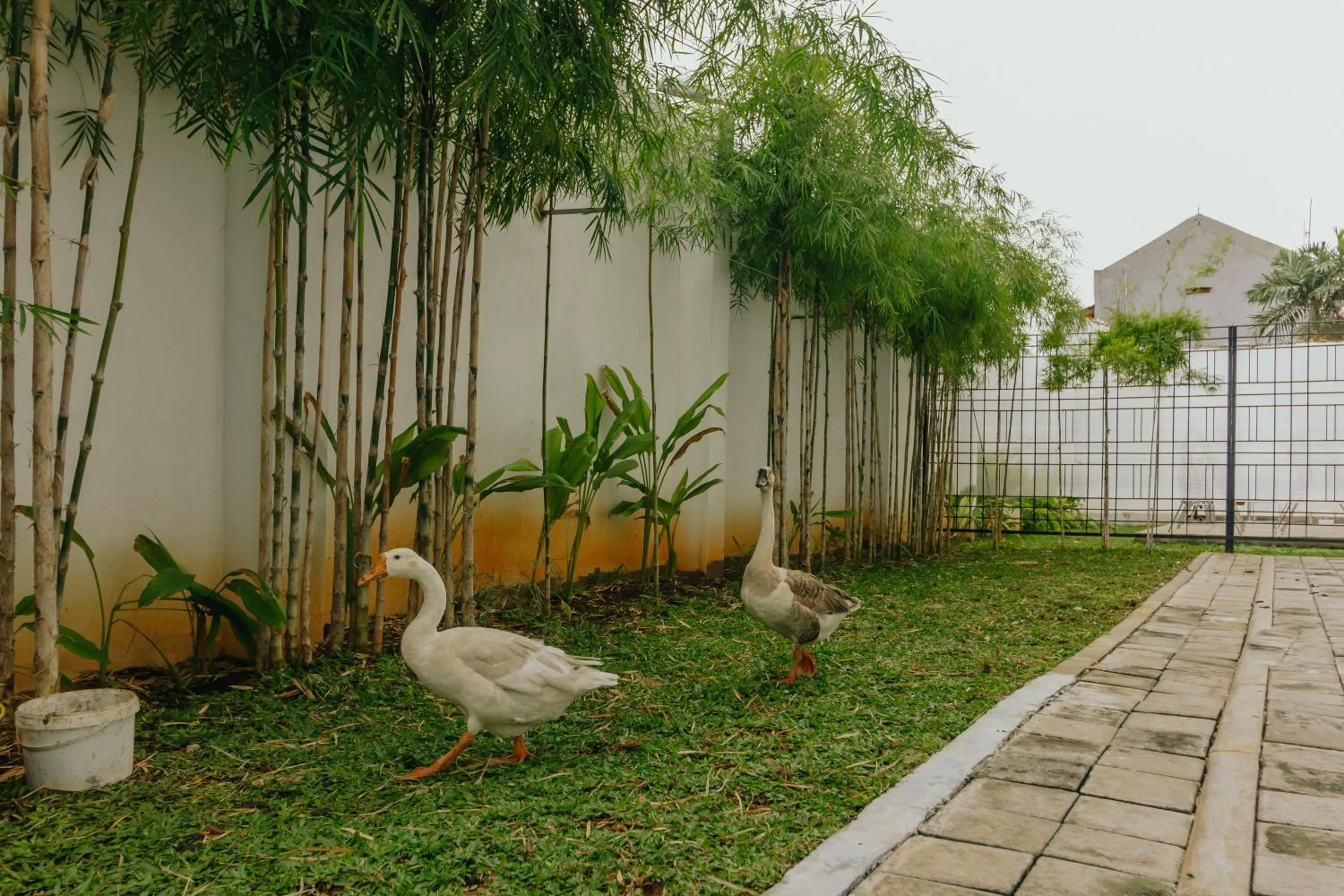 Animals in Urbanest Inn House Slipi