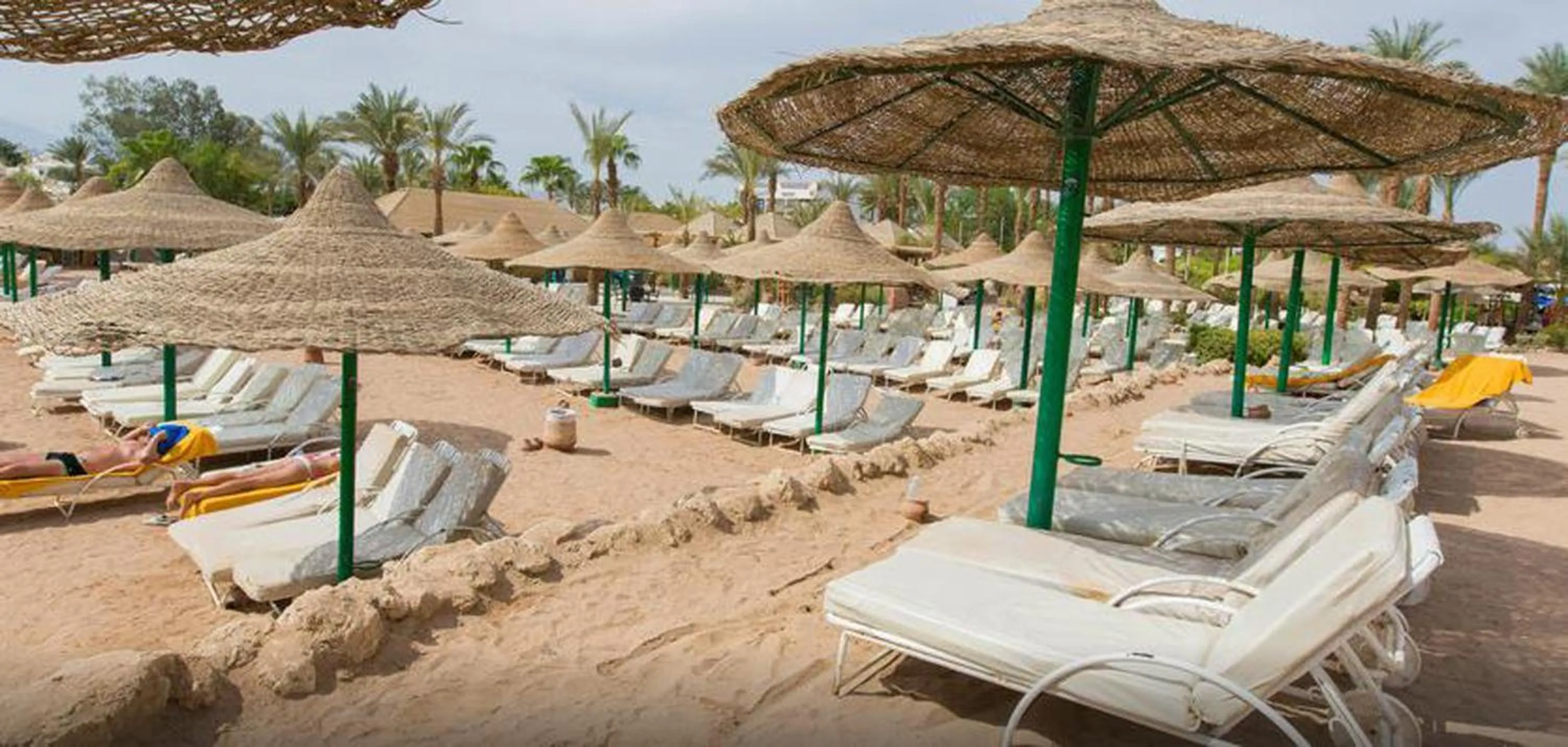 Day in Oonas Dive Club