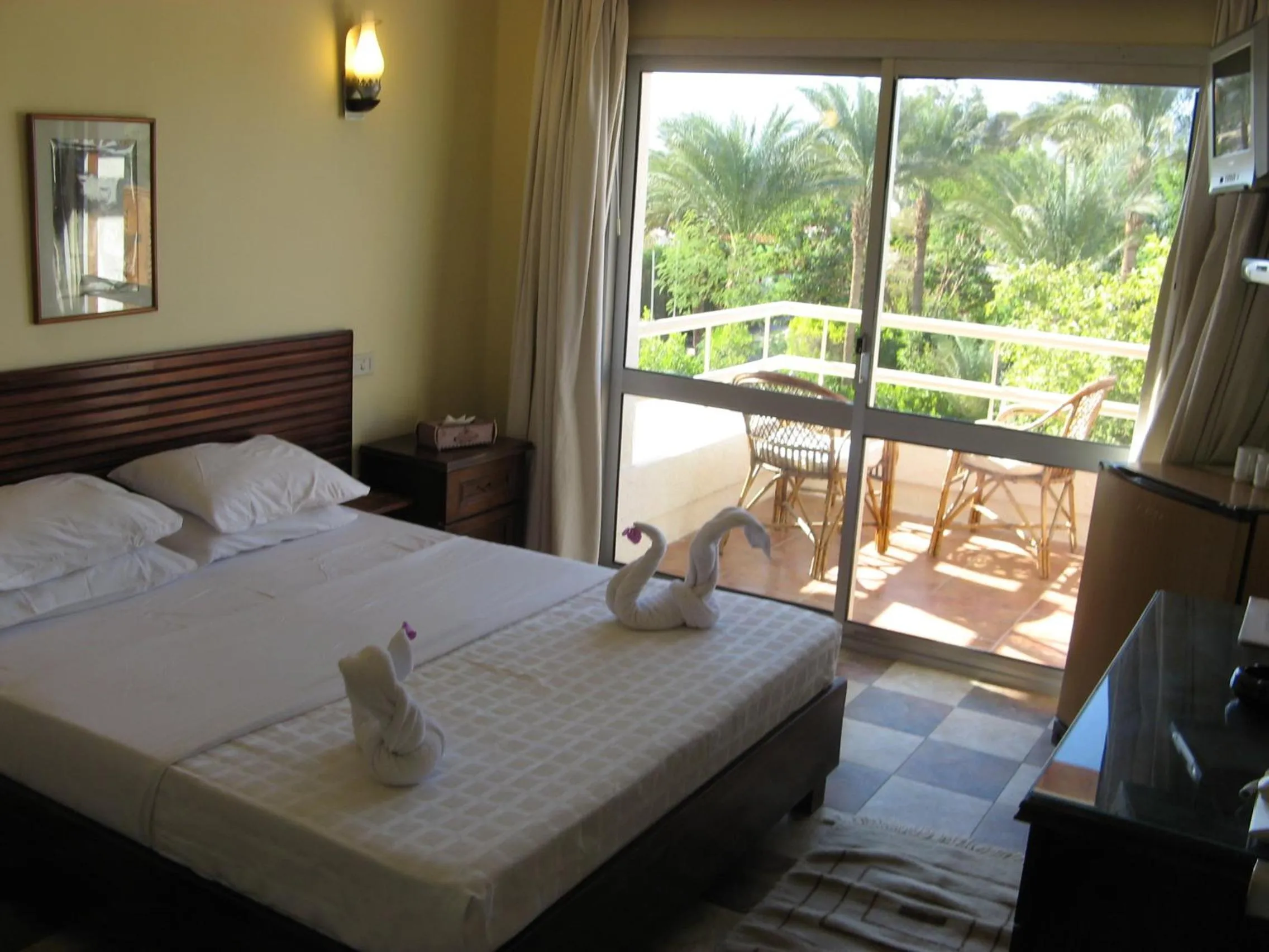 Day, Bed in Oonas Dive Club