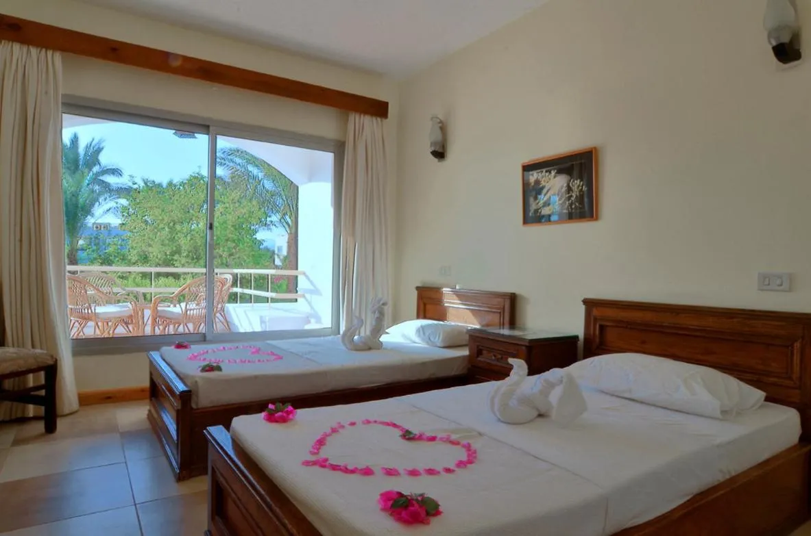 Day, Bed in Oonas Dive Club