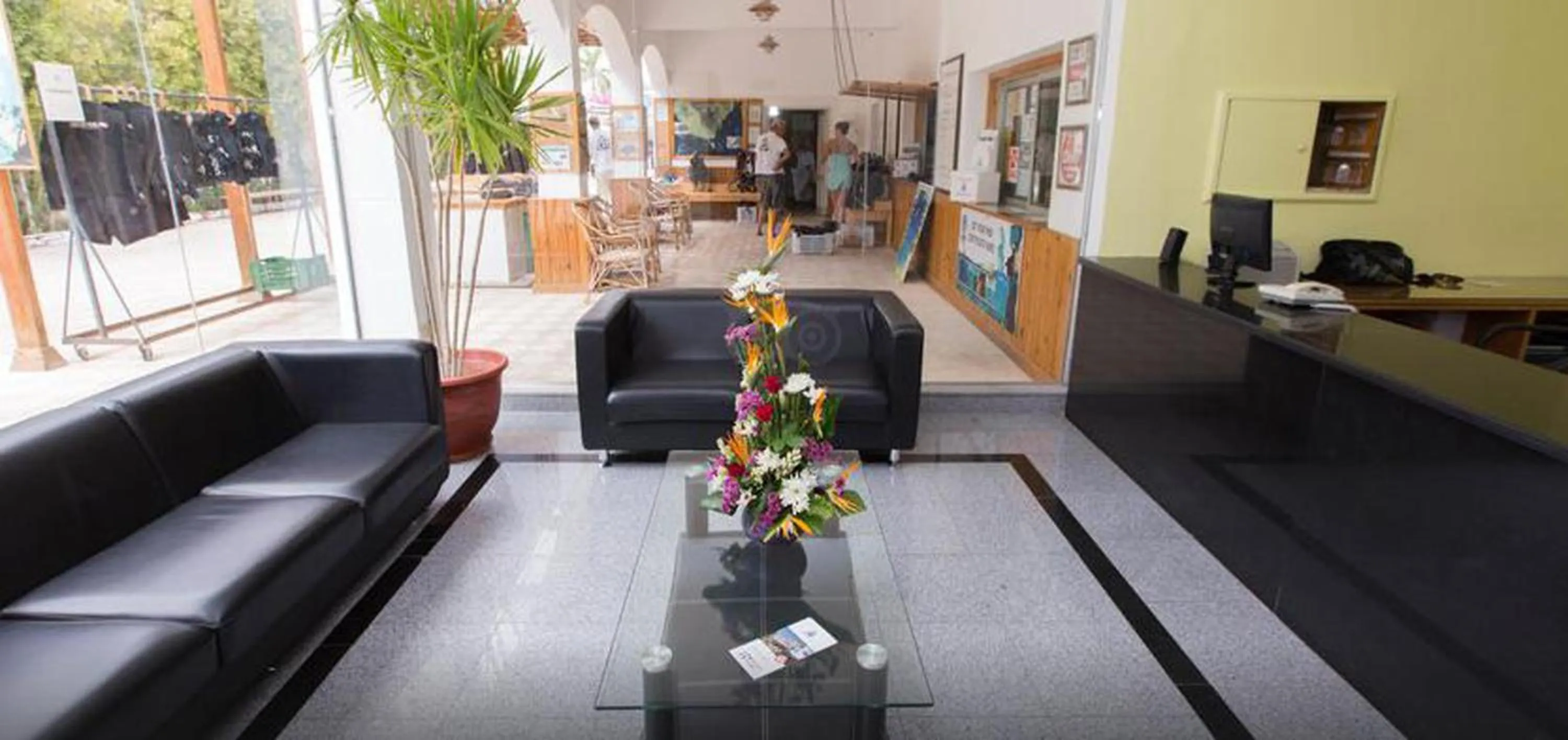 Day in Oonas Dive Club