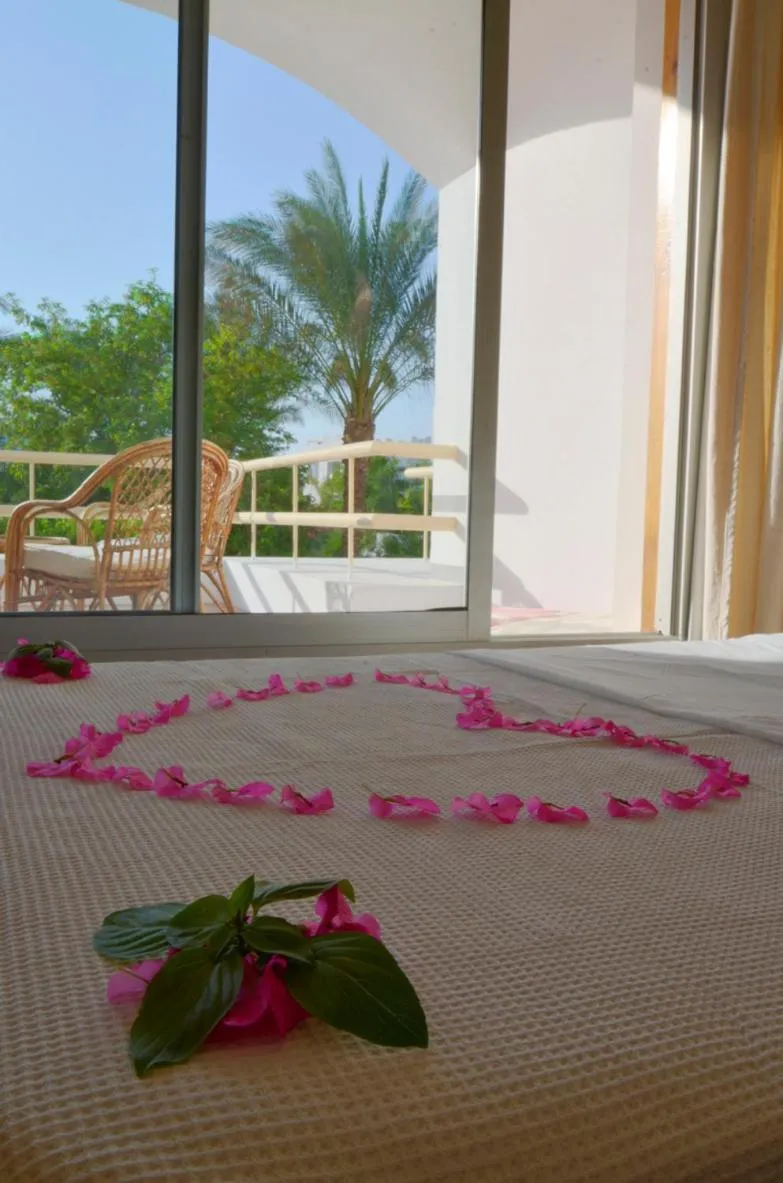 Bed in Oonas Dive Club