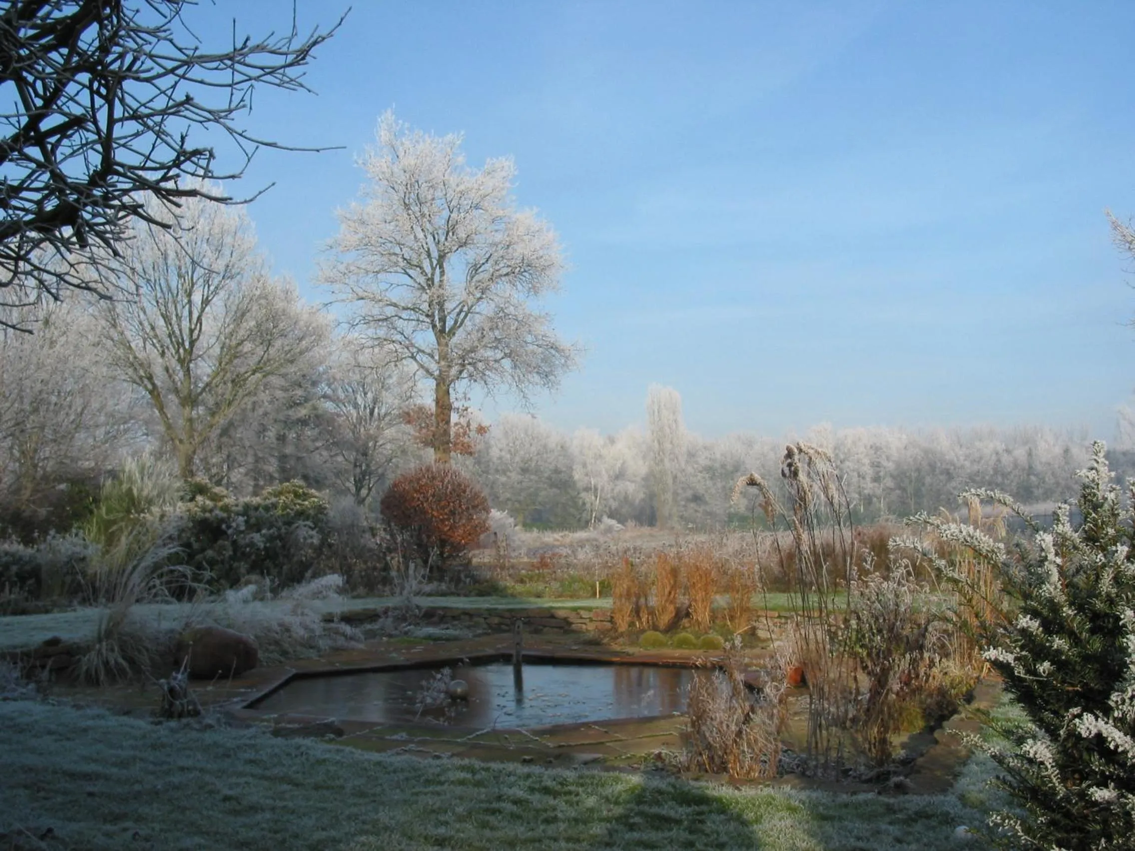 Winter in De Hoge Peel