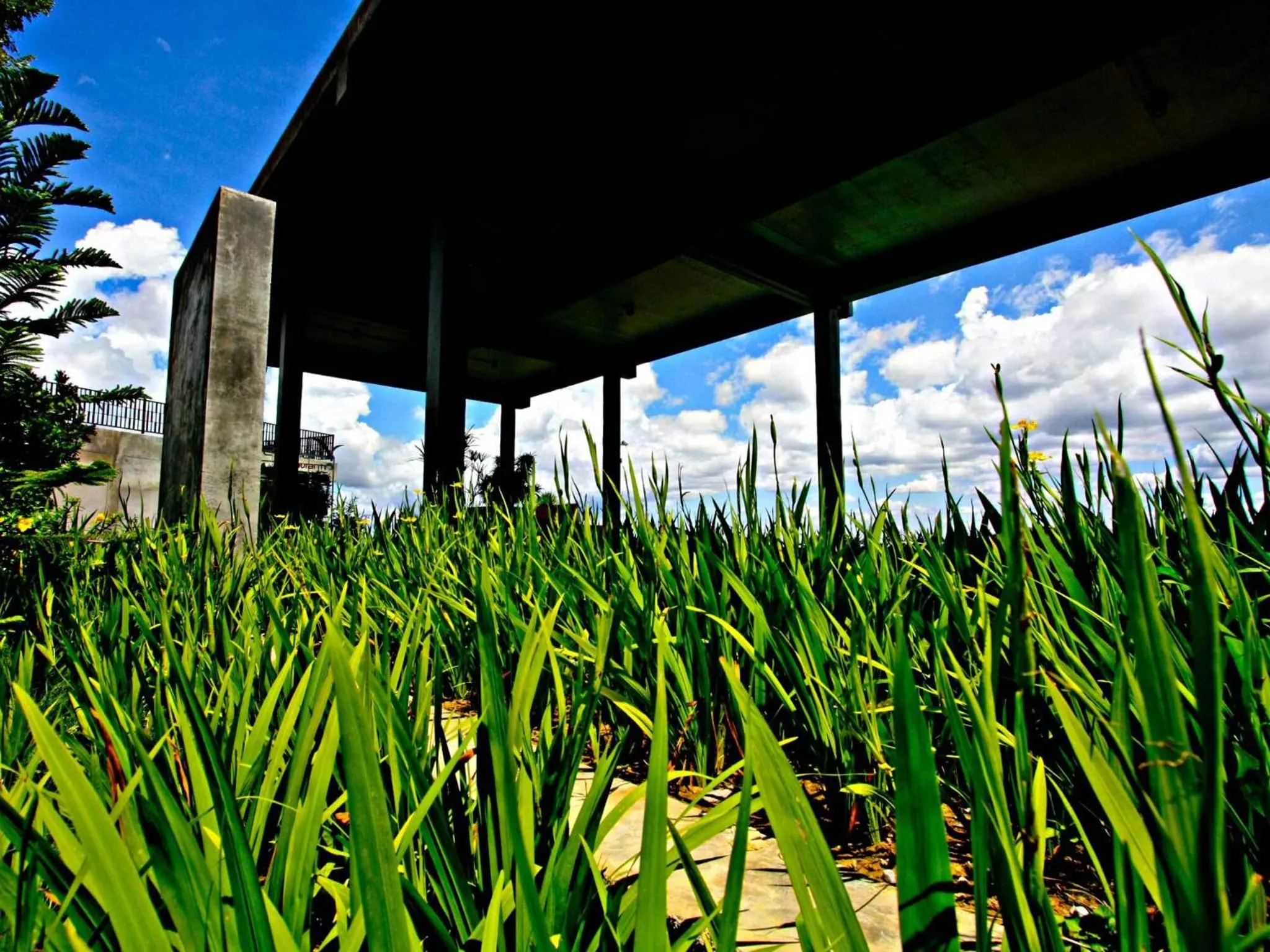 Day in Veravian Resort