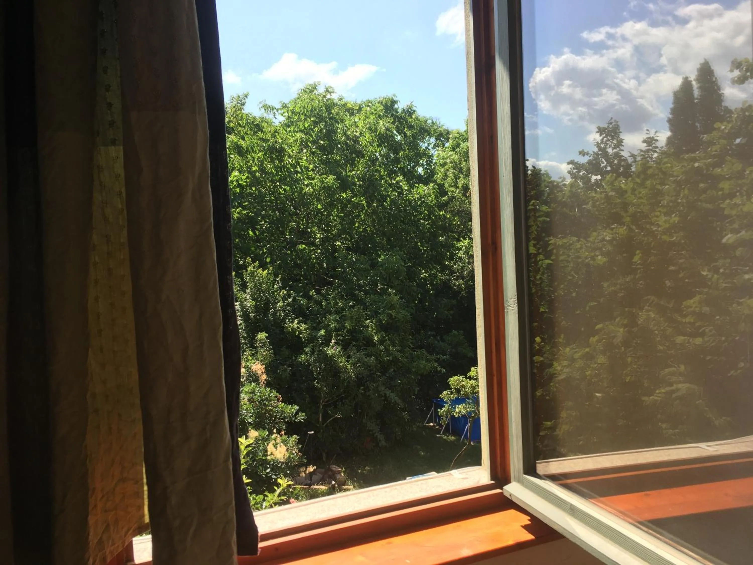 Garden view in Budapest Garden Hostel - Age limit 39