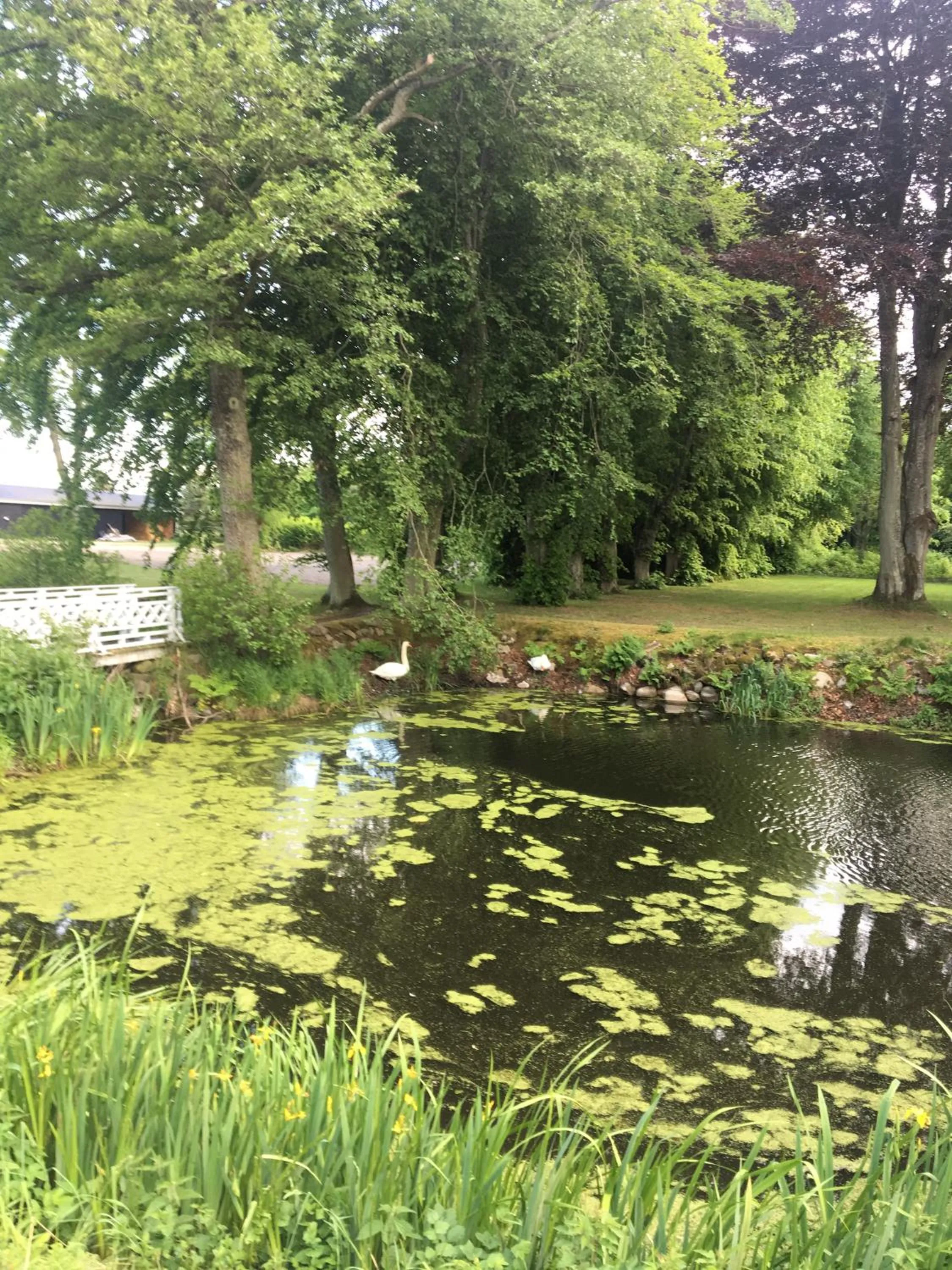 Living room in Lerbæk Hovedgaard
