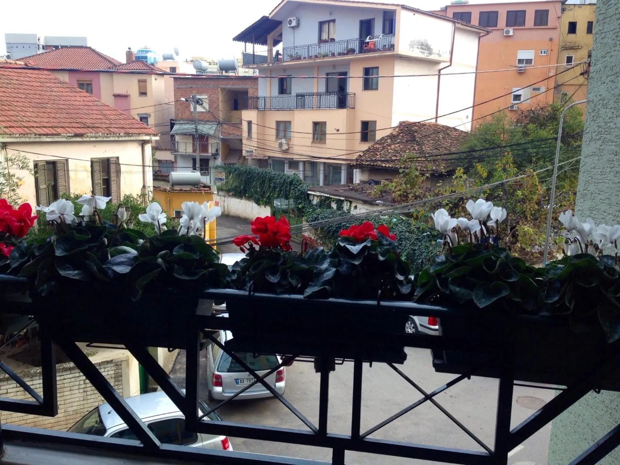 Property building in Areela Boutique Hotel