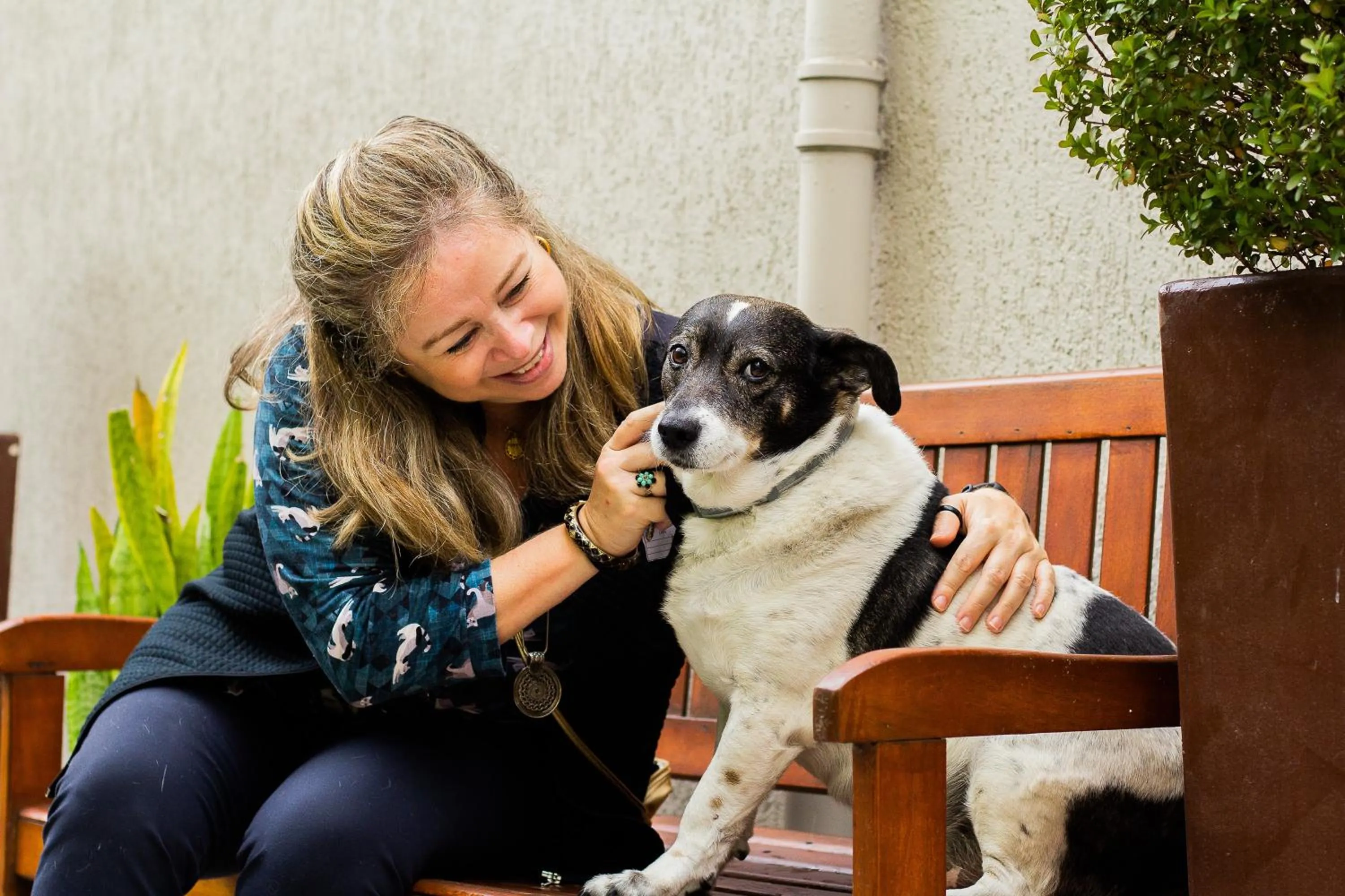 Garden in Hotel Estação Paraíso - ao lado do Metrô Paraíso e 600m da Av Paulista