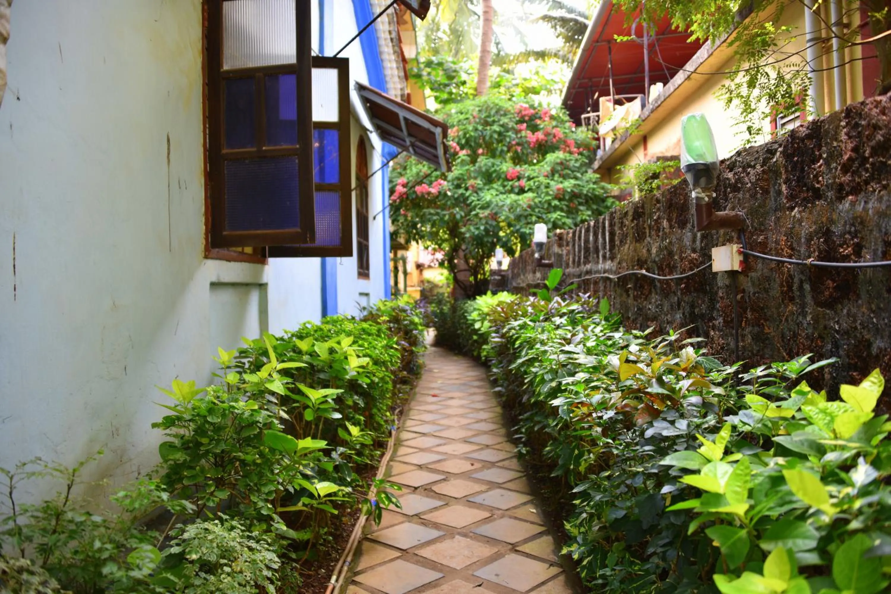 Garden in Hotel Kismat Mahal