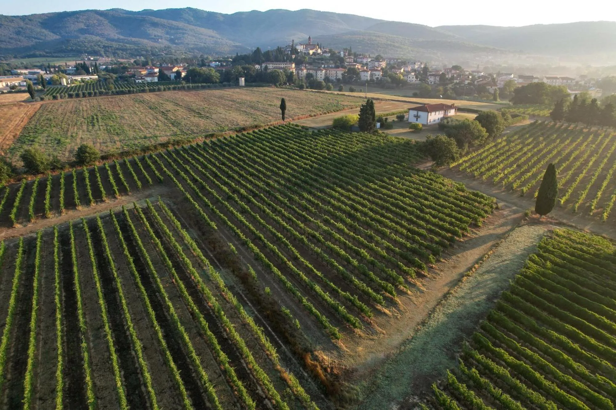 Day in Cappannelle Country House Tuscany