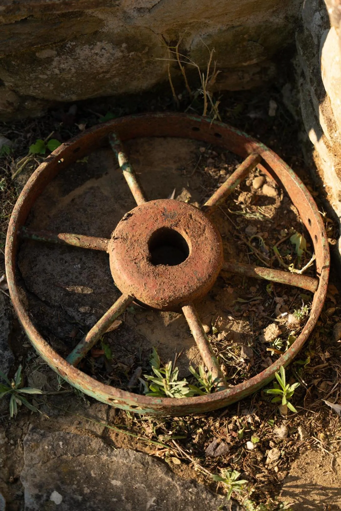 Day in Cappannelle Country House Tuscany
