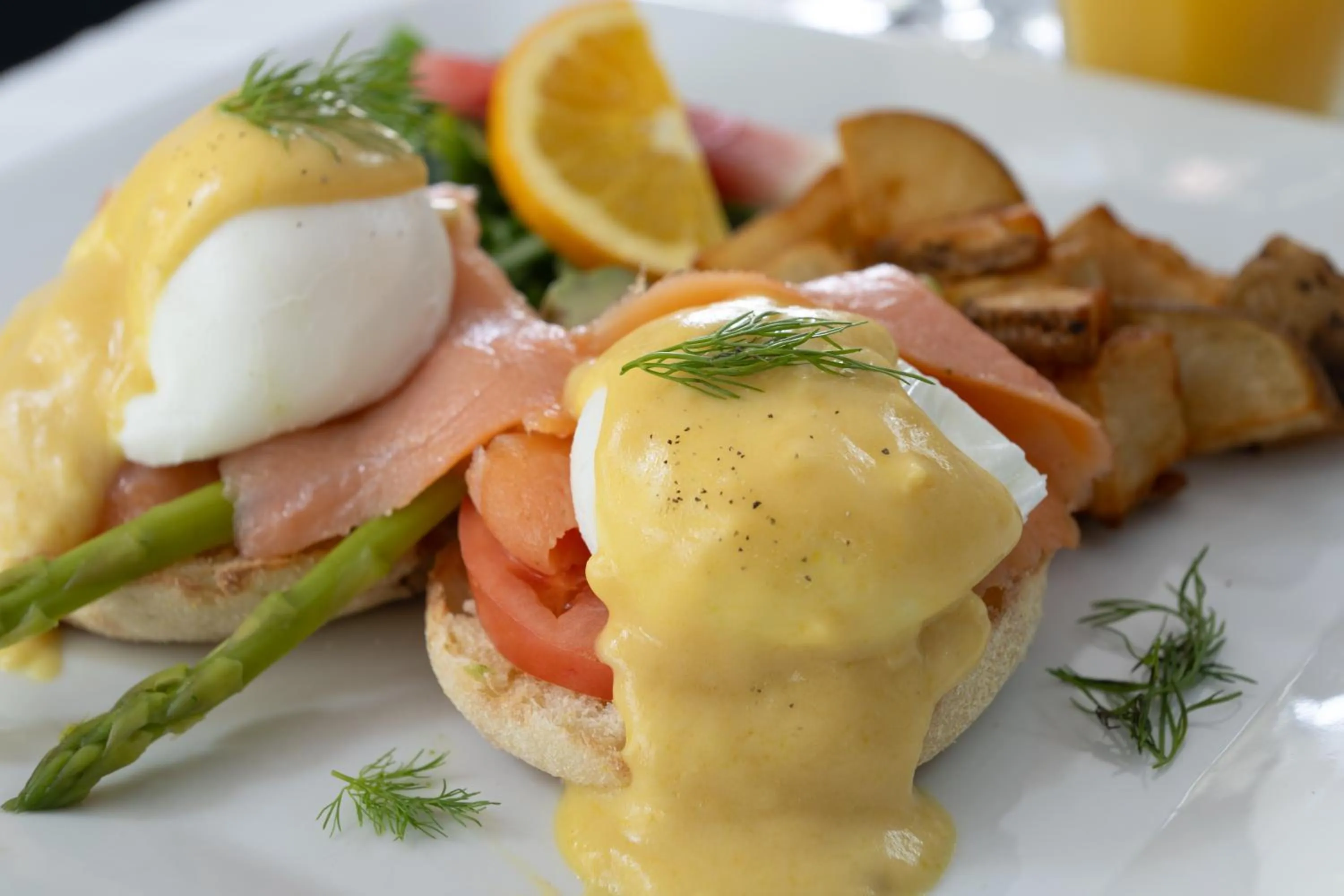 Food close-up in Casey Key Resorts - Mainland
