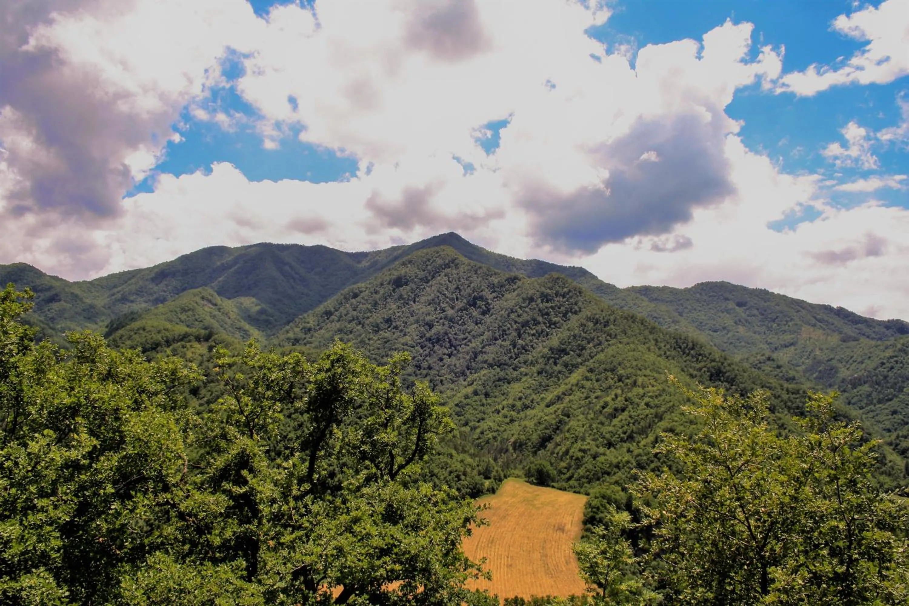 Mountain view in Il Palazzo Ridracoli